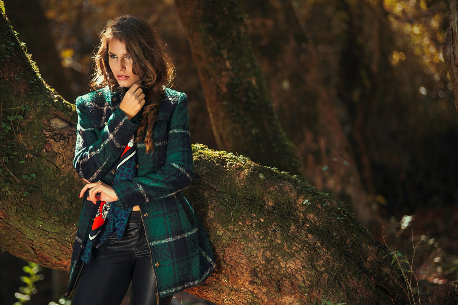 stromy, les, ženy venku, ženy, model, strom, podzim, sezóna, Snímek obrazovky, místo výskytu