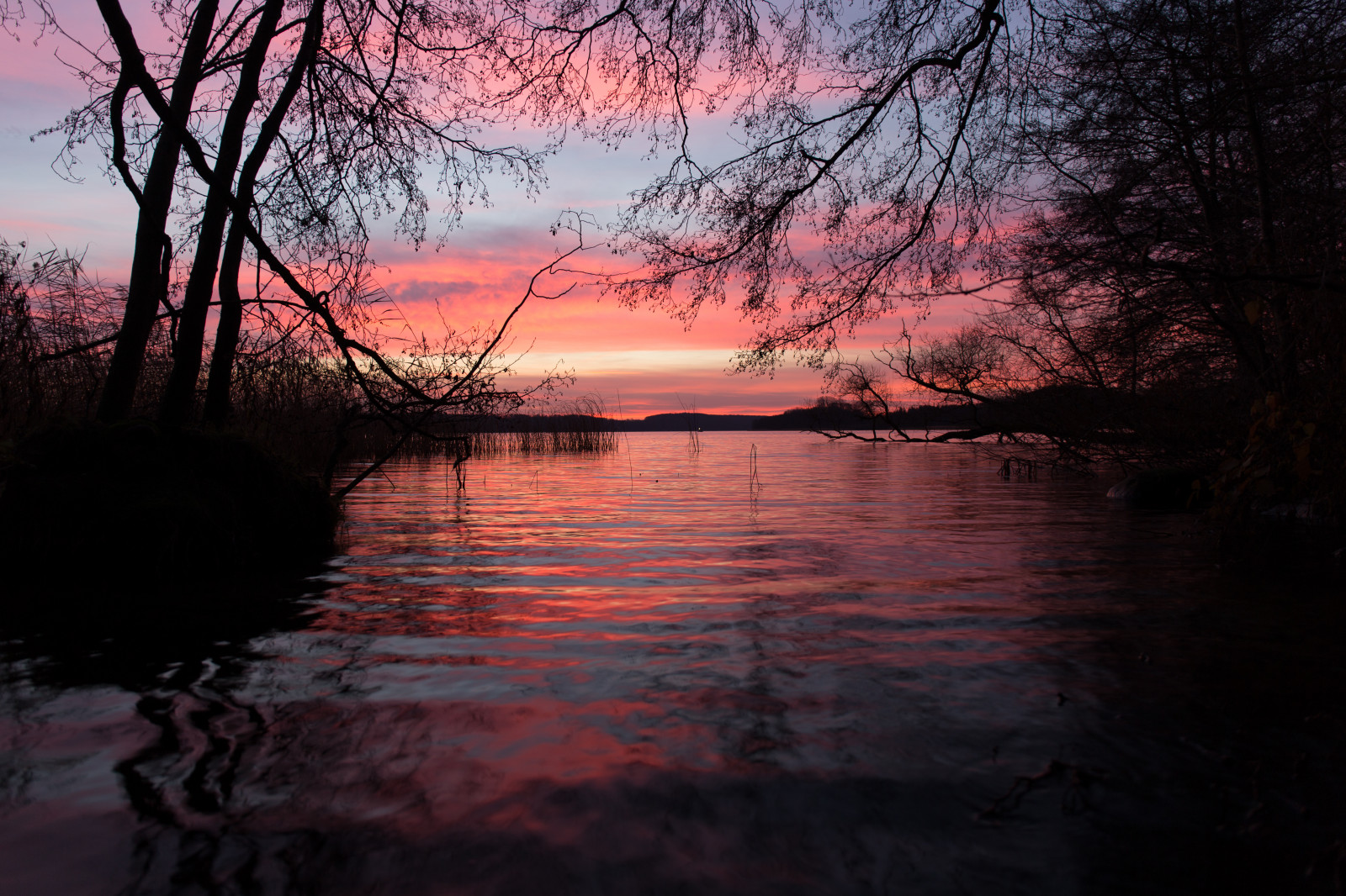 Wallpaper : sunrise, Germany, deutschland, sonnenaufgang, holstein ...