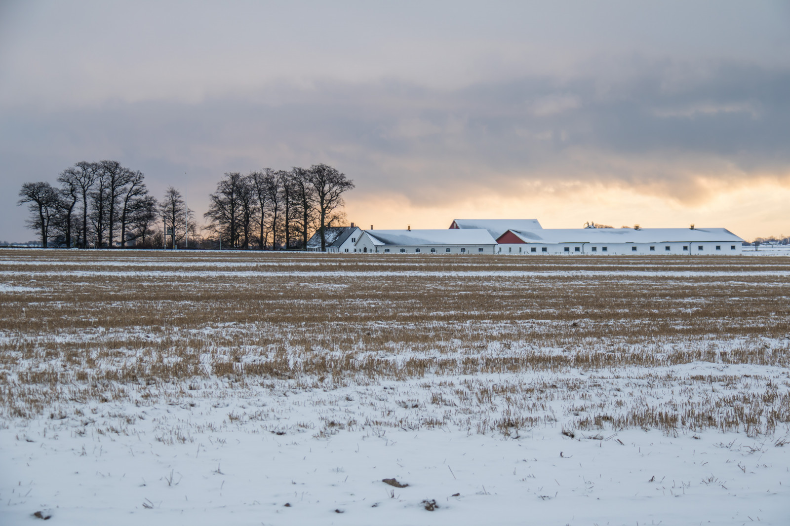 tájkép, tenger, part, hó, téli, jég, reggel, fagy, Sarkvidéki, Fagyasztó, időjárás, évad, hullám, sn, vinter, vidéki táj, landsbygd, s dersl tt, landskap, légköri jelenség, Árapálysíkság