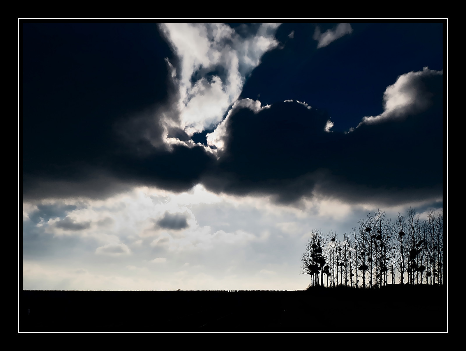 stromy, černobílý, nebe, mraky, bouřka, atmosféra, Nikon, hrom, 2014, mrak, počasí, tma, mraky, d CEMBRE, D5100, arbres, vigne, Černý a bílý, monochromatické fotografování, meteorologický jev, kupa, jev, vignoble, Maine-et-Loire, rando, Angers