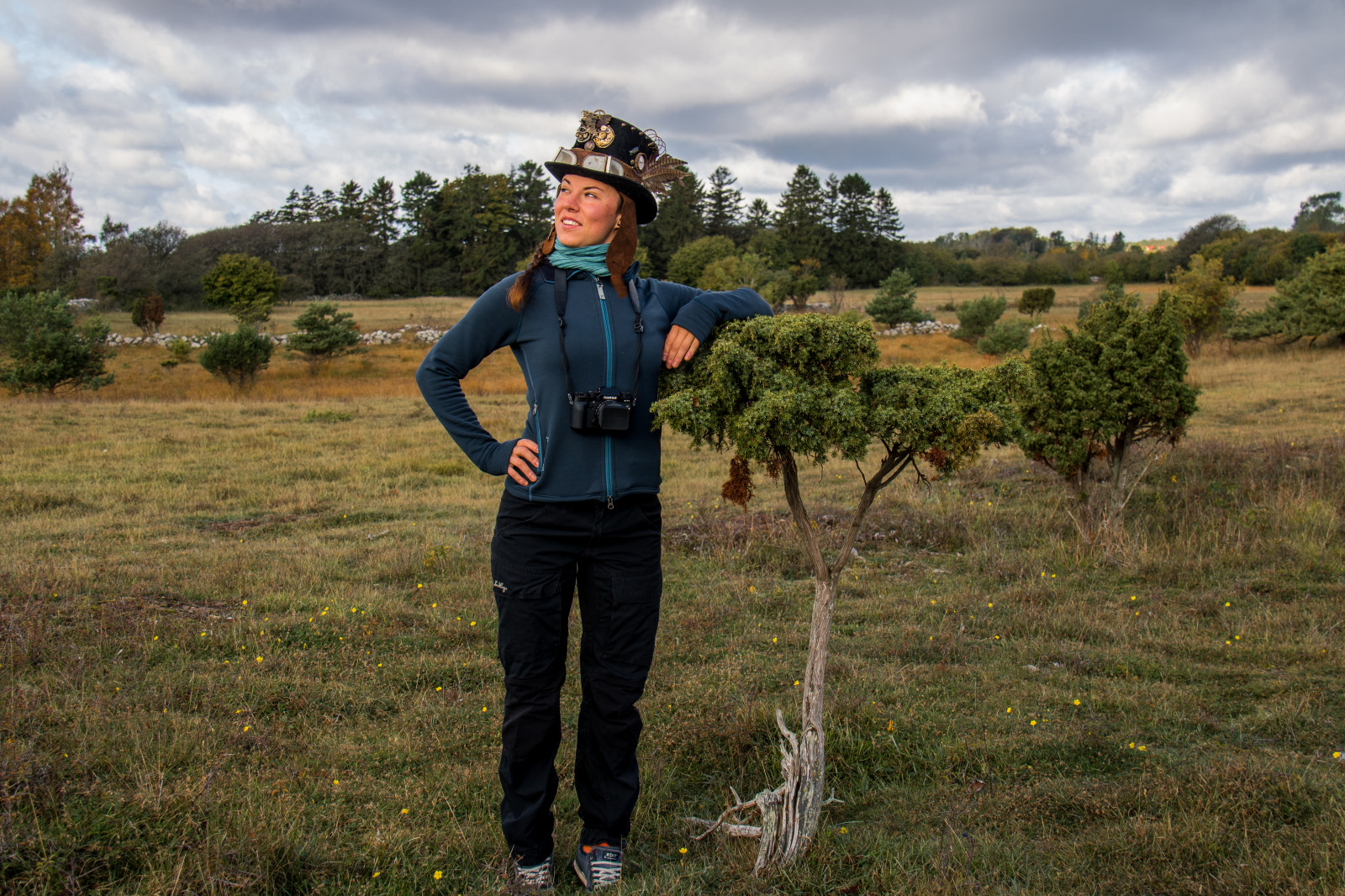 sport, græs, Mark, gård, fotograf, gå, Cheyenne, træ, Gotland, attackfoto, attackfoto8, landbrug, landdistrikt