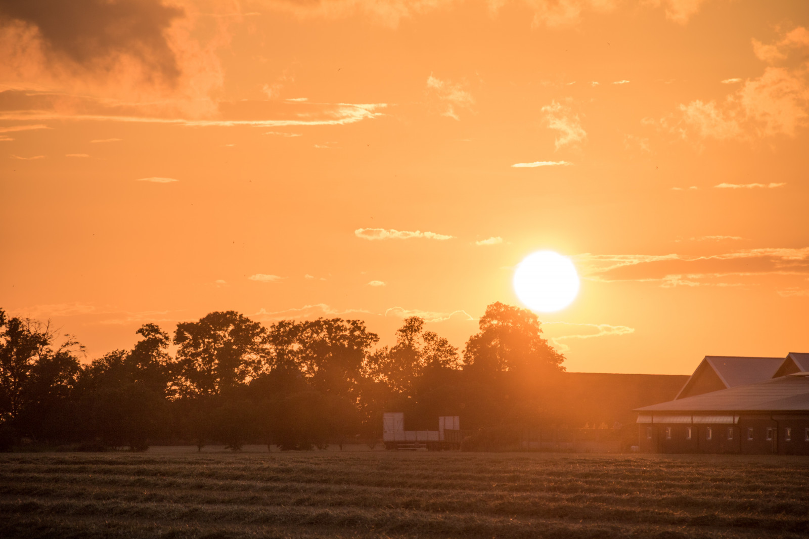 slunečnímu záření, krajina, západ slunce, nebe, pole, svítání, večer, ráno, mlha, slunce, horizont, atmosféra, soumrak, mrak, svítání, zlatá hodina, nebe, solnedg ng, venkov, moln, landsbygd, s dersl tt, landskap, exif modelu canoneos760d, geocountry, Kamera aby kánon, geocity, Model fotoaparátu canoneos760d, geostate, geolocation, EXIF čočka efs18200mmf3556is, exif aby kánon, EXIF isospeed 100, EXIF otvor 71, exif focallength 180mm, gyllenetimmen, atmosférický jev, odlesk, astronomický objekt, červená obloha v dopoledních hodinách