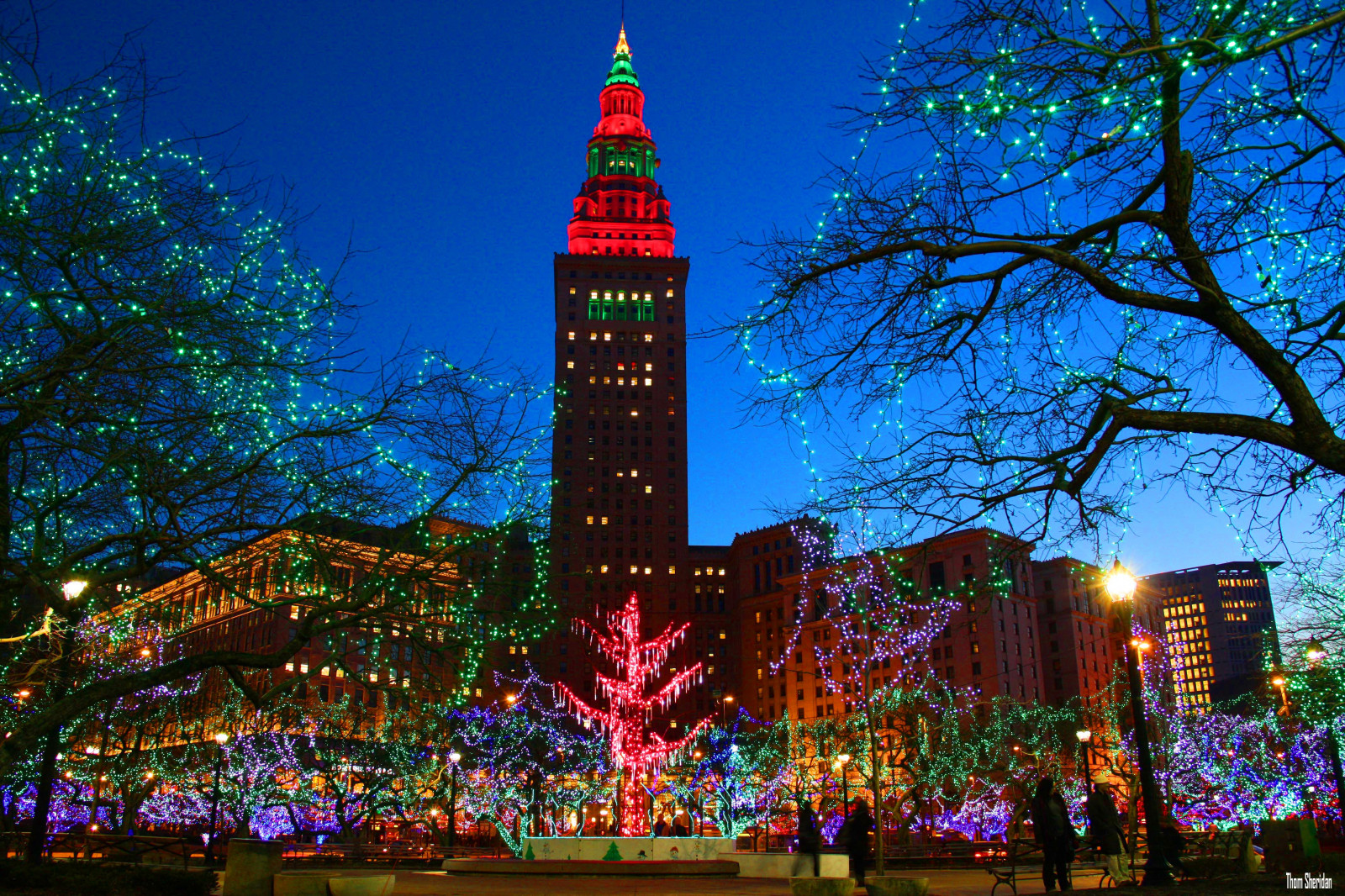 Wallpaper metropolitan area, landmark, nature, tree, tower, tourist