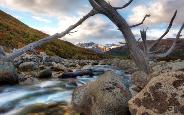 árbol,río,muerto,engancharse,Piedras,montañas
