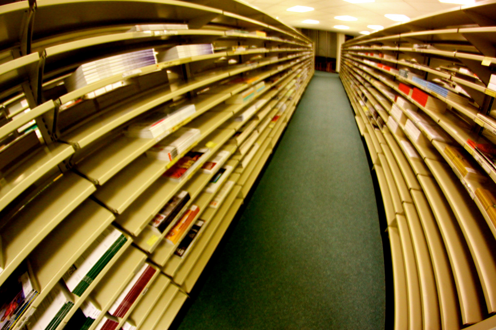 campus, Hawaii, univerzita, knihovna, Bibliothek, hamilton, rybí oko, prozkoumat, honolulu, časopisy, Bibliotheque, komíny, časopisy, Universityofhawaii, Manoa, Uhm, Universityofhawaiiatmanoa, Univerzitní knihovna, Bibliotheca, Hawai i, prozkoumal, Universityofhawai iatm noa, Hamiltonlibrary, canon50d, Universityofhawai i, Rokinon835, Universit dhawa m noa