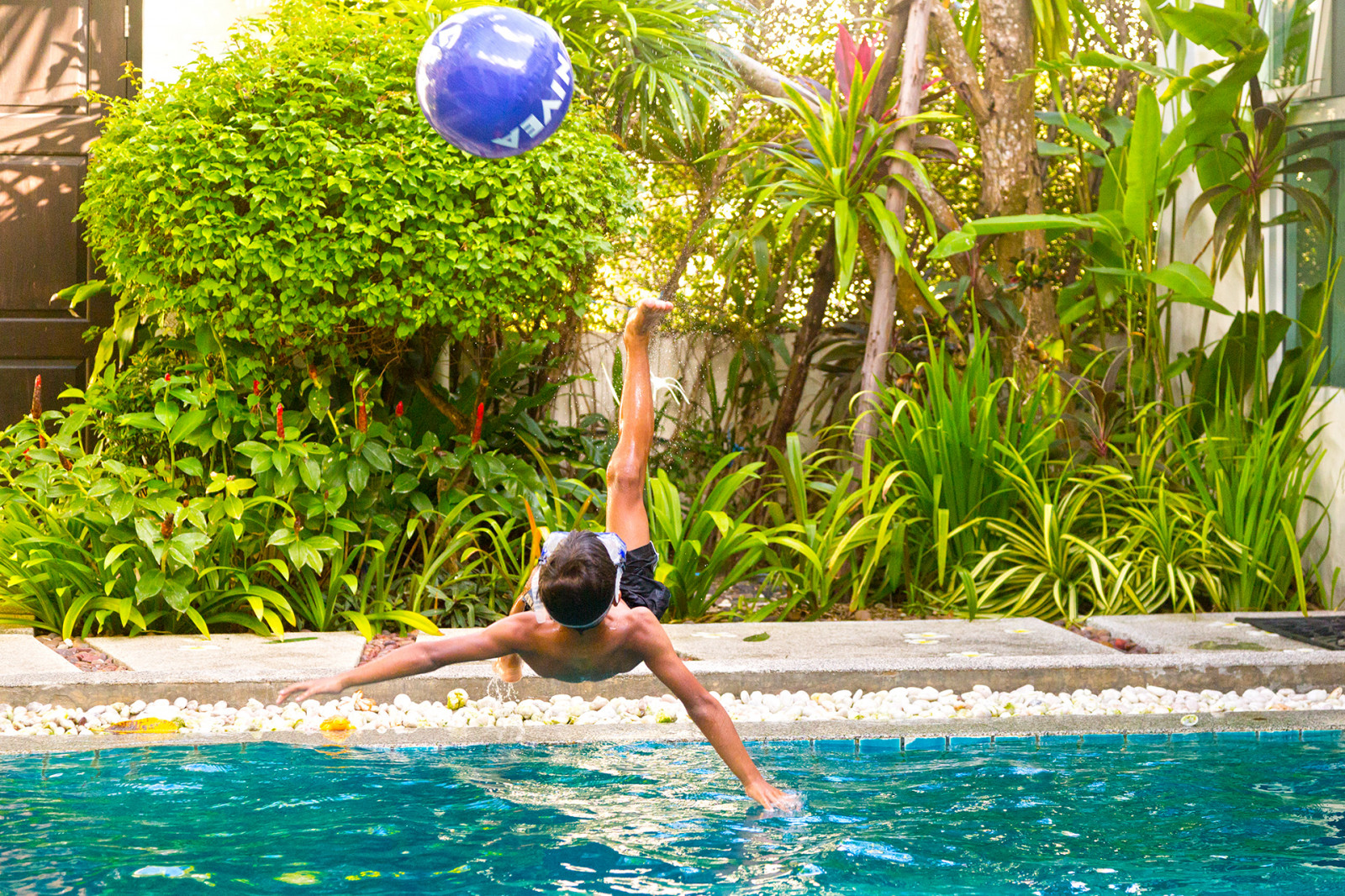 Wallpaper sports, sport, water, nature, swimming pool, jungle