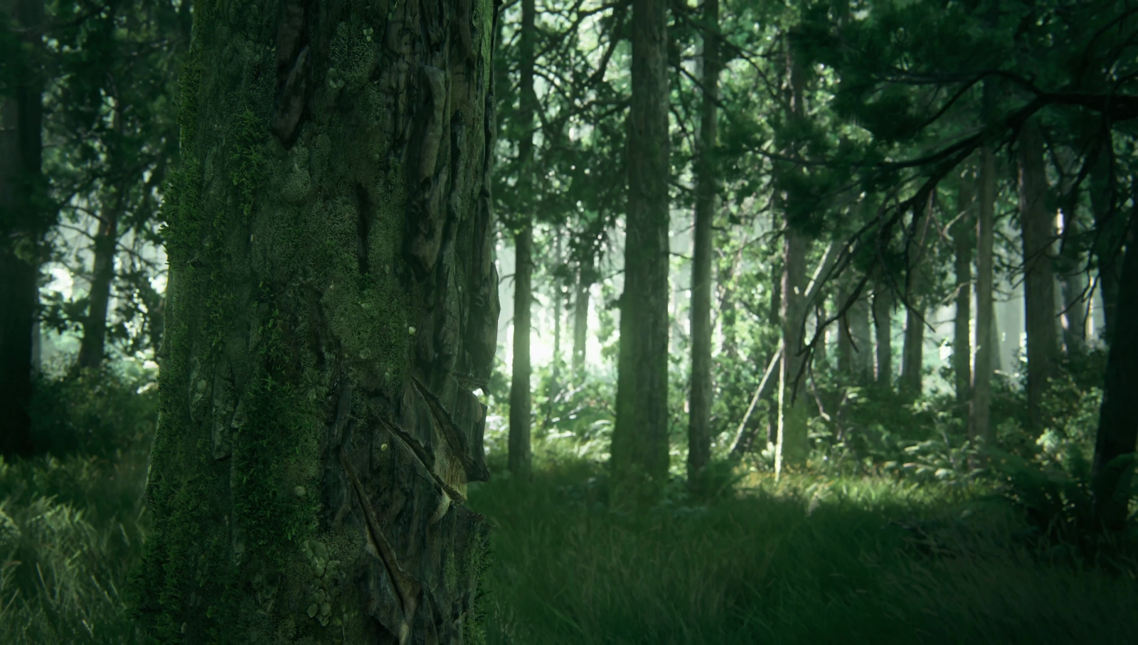 luce del sole, foresta, videogiochi, natura, apocalittico, erba, ramo, verde, nebbia, giungla, L'ultimo di noi, Seconda parte, foresta pluviale, zone umide, albero, foglia, pianta, vegetazione, prato, bosco, boschetto, habitat, ambiente naturale, fenomeno atmosferico, pianta legnosa, caratteristica geografica, ecosistema, temperata foresta di conifere, bioma, vecchia foresta di crescita, foresta temperata, deciduo