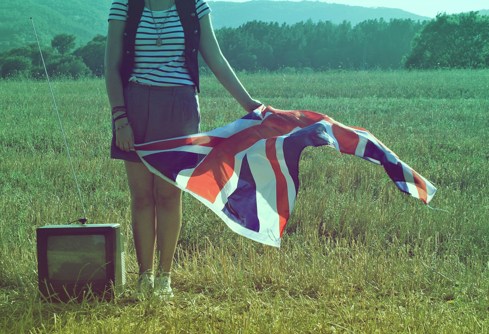 paesaggio, ritratto, erba, campo, Inghilterra, bandiera, Sole, vento, estate, Regno, Jack, tv, UK, leggero, albero, prateria, unito, pianta, ragazza, divertimento, agricoltura, prato, auto ritratto, unione, prateria, ecosistema, famiglia di erba, galleggiante, ecoregione, televisione