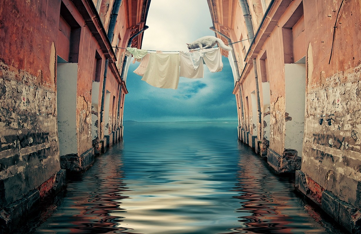 krajina, kočka, starý, architektura, jezero, voda, Příroda, odraz, mraky, Dům, modrý, bílý oděv, oblečení, barva, alej, vodní