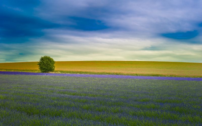 zonlicht, landschap, zee, heuvel, natuur, gras zonlicht, landschap, zee, heuvel, natuur, gras