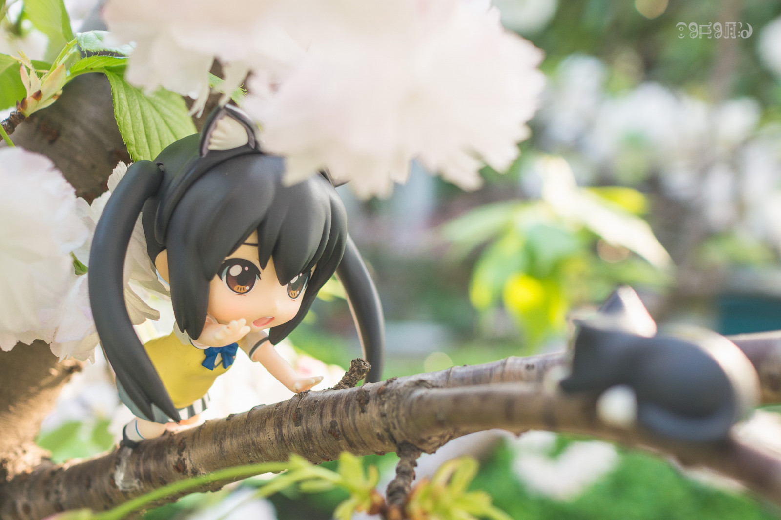 anime, tráva, větev, černé vlasy, Hračka, jaro, kon, nendoroid, strom, květ, rostlina, goodsmile, figurka, počítač tapeta