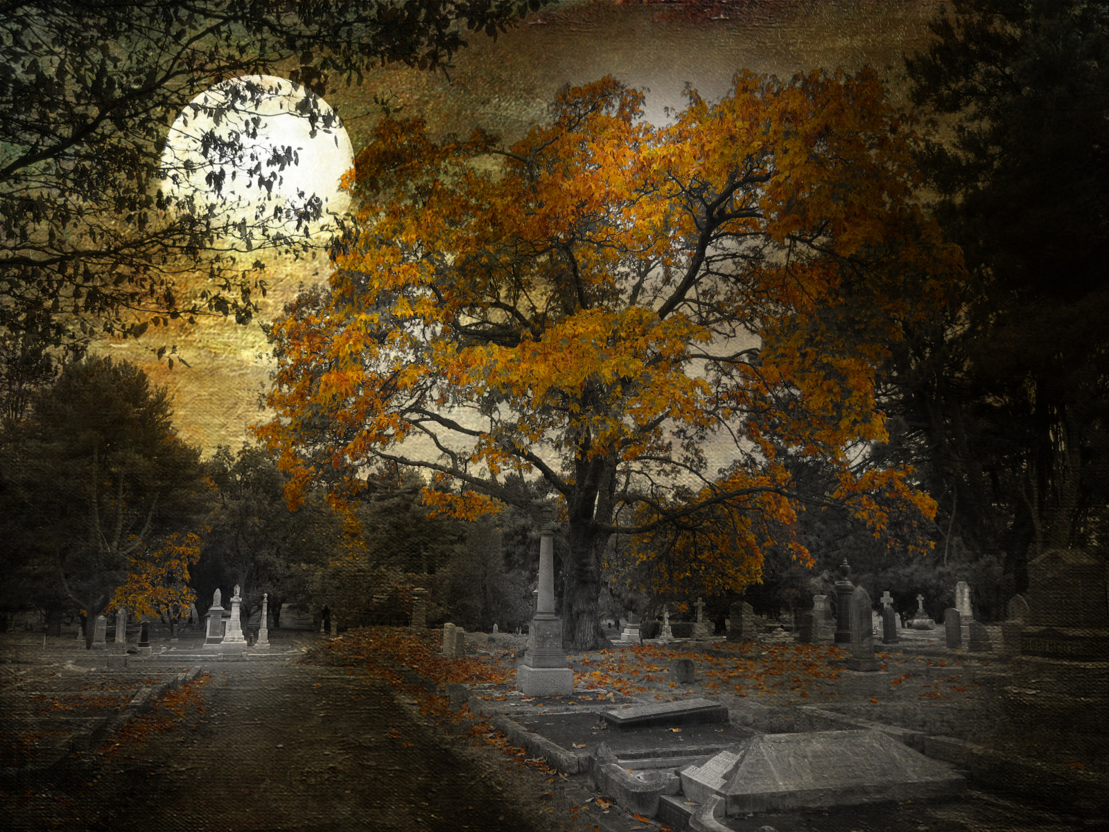 hřbitov, Měsíc, předvečer Všech svatých, hřbitov, podzim, rossbay, podzim, allhallowseve, creativephotocafe, d adelosangelitos, d adelosdifuntos, d adelosmuertos, den smrti