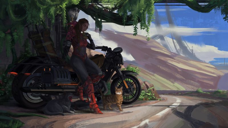 vehicle, artwork, science fiction, women, cats, road vehicle, artwork, science fiction, women, cats, road