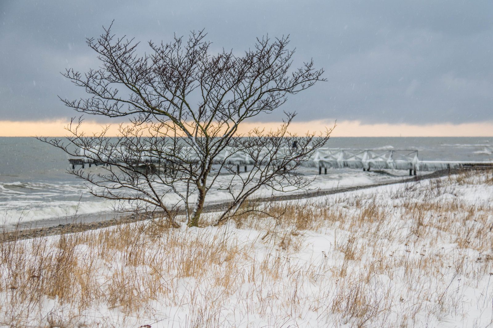 paesaggio, mare, acqua, puntellare, la neve, inverno, ghiaccio, mattina, brina, vento, bacino, Congelamento, zone umide, albero, tempo metereologico, è, stagione, brygga, SN, vatten, Vinter, HAV, Smygehamn, palude, habitat, fenomeno atmosferico, pianta legnosa