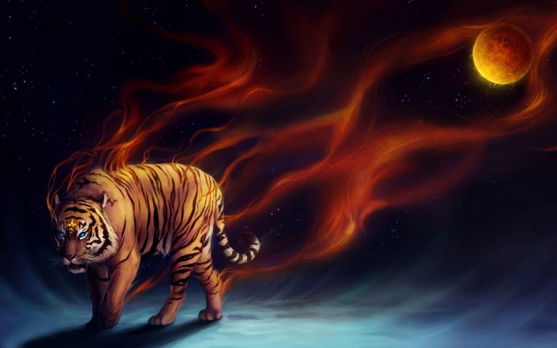 ilustrace, digitální umění, zvěř, tygr, abstraktní, velké kočky ilustrace, digitální umění, zvěř, tygr, abstraktní, velké kočky