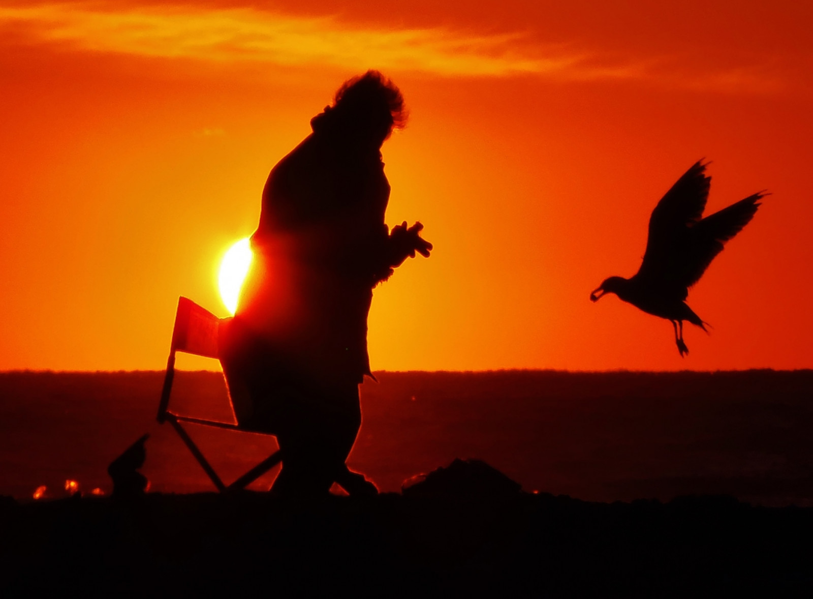 Meer, USA, Möwen, Seelandschaft, Strand, Silhouette, Sonnenaufgang, NJ, Ufer, Brigantine