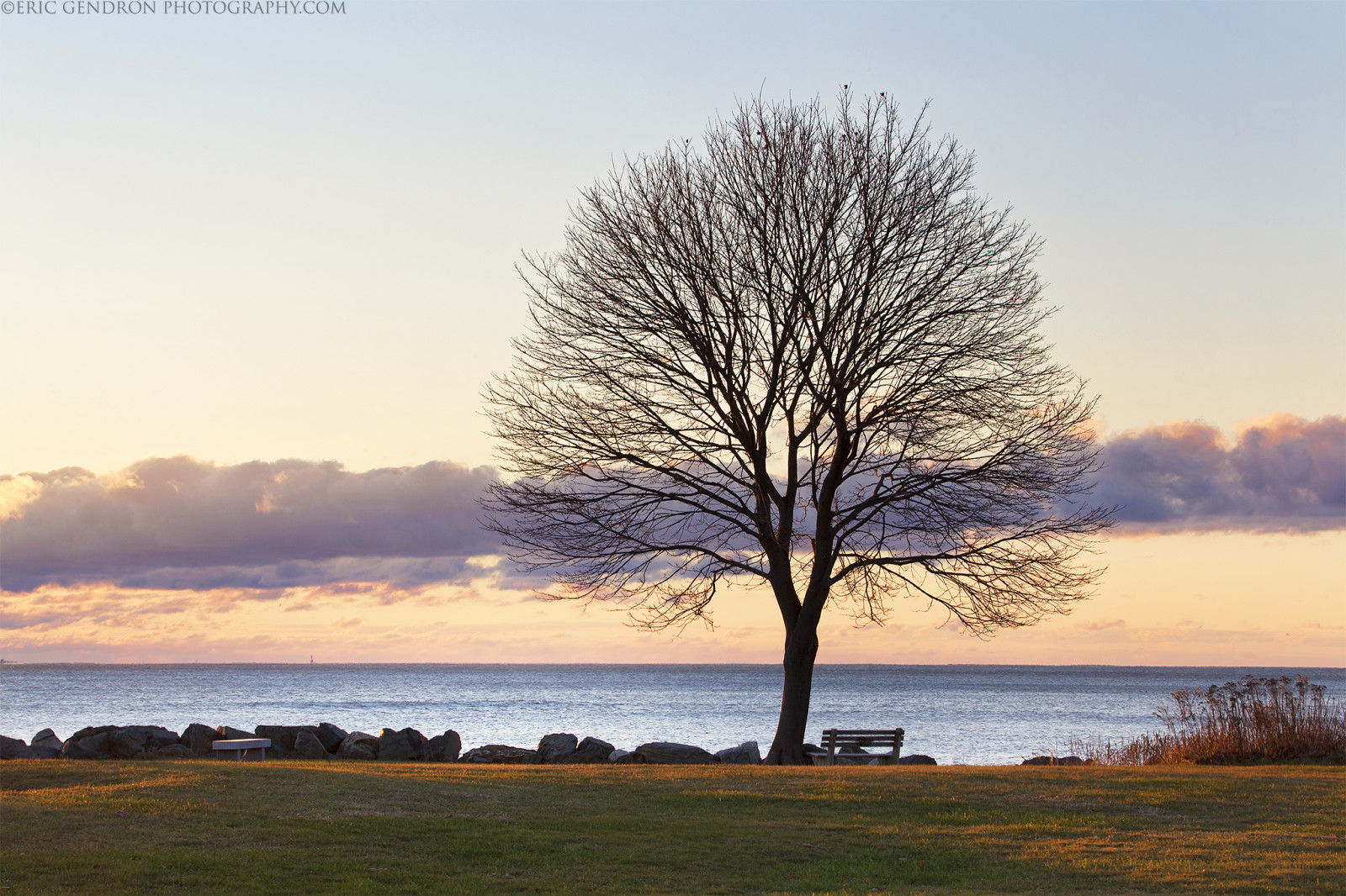 slunečnímu záření, krajina, západ slunce, moře, voda, pobřeží, odraz, tráva, nebe, zima, větev, svítání, uklidnit, Cestovní ruch, večer, ráno, pobřeží, lavice, Kánon, horizont, soumrak, pobřežní čára, Newcastle, mrak, scéna, strom, scenérie, skalnatý, oblíbený, svítání, rostlina, oceán, zlatá hodina, turista, mezník, scénický, Nová Anglie, pobřežní, počítač tapeta, dřevina, nh, New Hampshire, ericgendron, Seacoat, Greatislandcommons