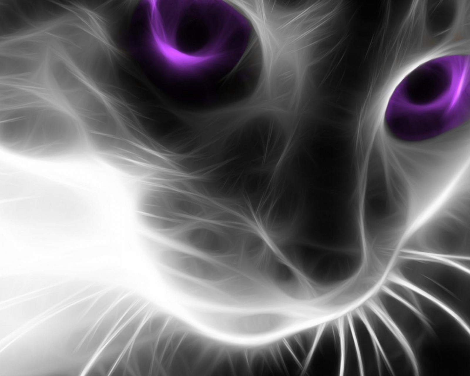 kat, dyr, monokrom, kunstværk, whiskers, øje, mørke, bryst, computer tapet, sort og hvid, monokrom fotografering, fraktale kunst, tæt på, kat lignende pattedyr, makrofotografering