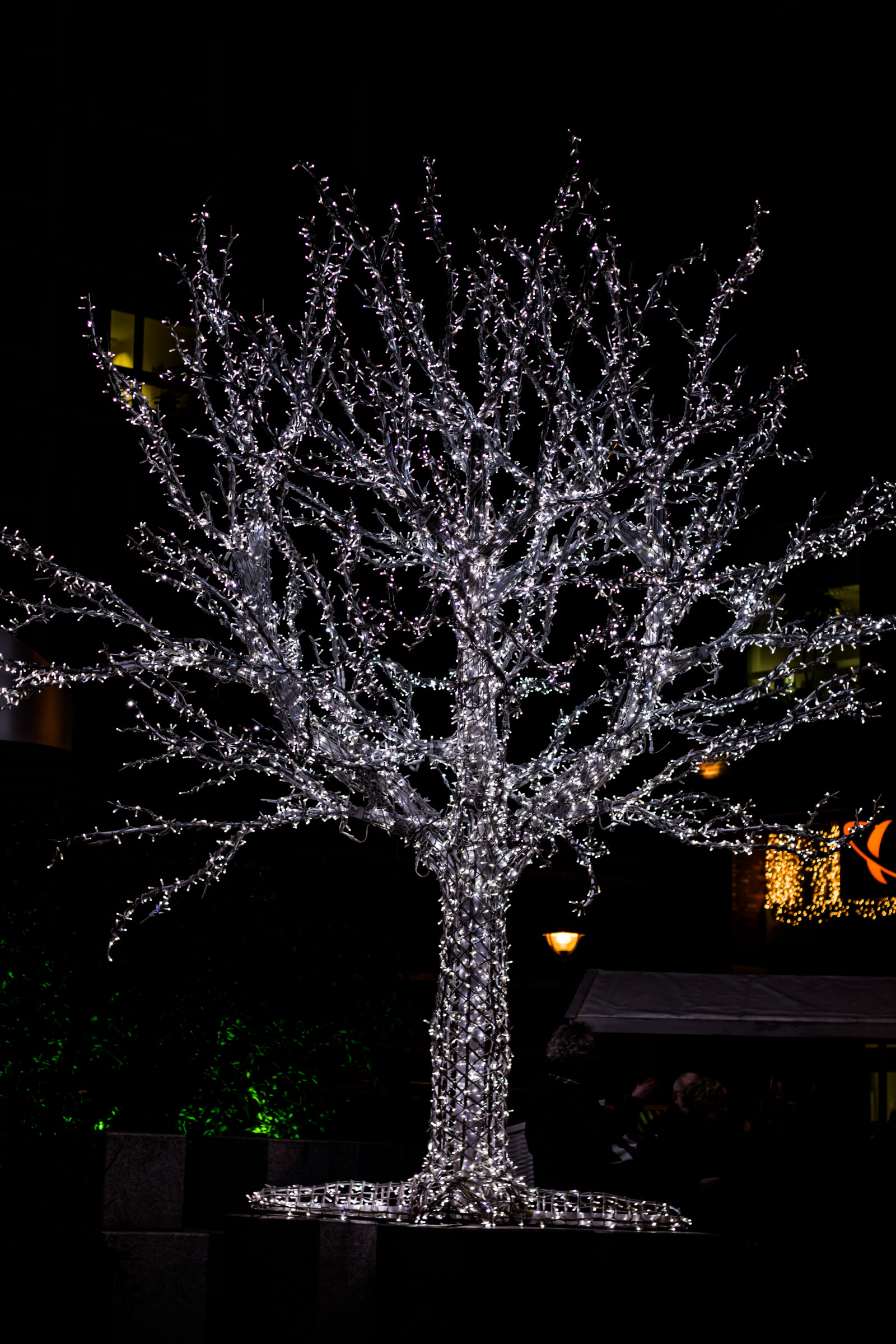 světla, noc, větev, Německo, Vánoční strom, Vánoce, Vánoční osvětlení, světlo, strom, květ, Vánoce, tr d, vánoční trh, července, Německo, deutschland, Rostock, julmarknad, exif modelu canoneos760d, geocountry, Kamera aby kánon, geocity, Model fotoaparátu canoneos760d, geostate, geolocation, exif aby kánon, exif isospeed 200, exif focallength 50mm, EXIF ef50mmf18stm čočka, EXIF otvor 28, tma, weinachtsmarkt, vánoční dekorace