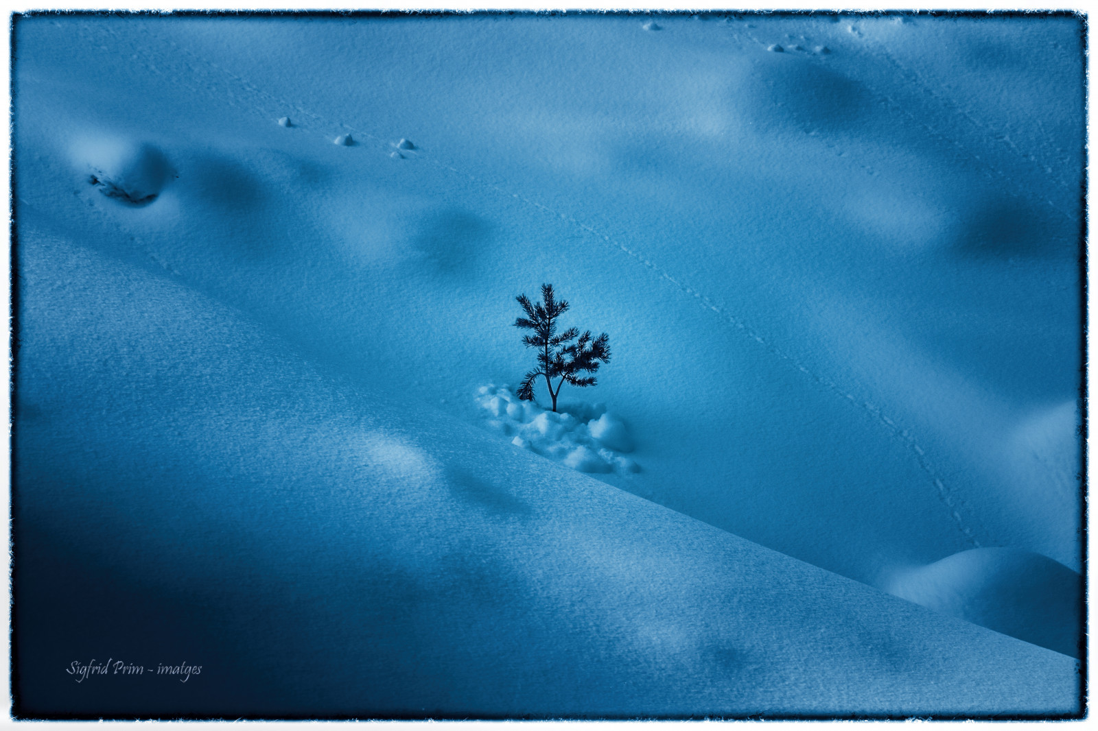 krajina, černobílý, temný, voda, Příroda, milovat, nebe, venku, stín, sníh, zima, pole, uklidnit, modrý, Studený, Kánon, sama, zmrazení, přízemní, Katalánsko, Catalunya, světlo, barva, duny, hluboký, cestovat, hora, roztomilý, divoký, krása, naturaleza, pěkný, invierno, polibek, Zeiss, carlzeiss, montana, canon6d, eos, natura, jako, Jena, šest, arbres, Atmosfera, závětří, paisatge, počítač tapeta, Fred, makro fotografie, Ombres, Pentacon, blankyt, hivern, tmavě modrá, Pirineos, neu, Lleida, GLA, Muntanya, Pirineus, Manualens, Pallars, Solitud, Sigfridprimribes, Oblidat, Paisatges, Pirinky, veterinář, Branques
