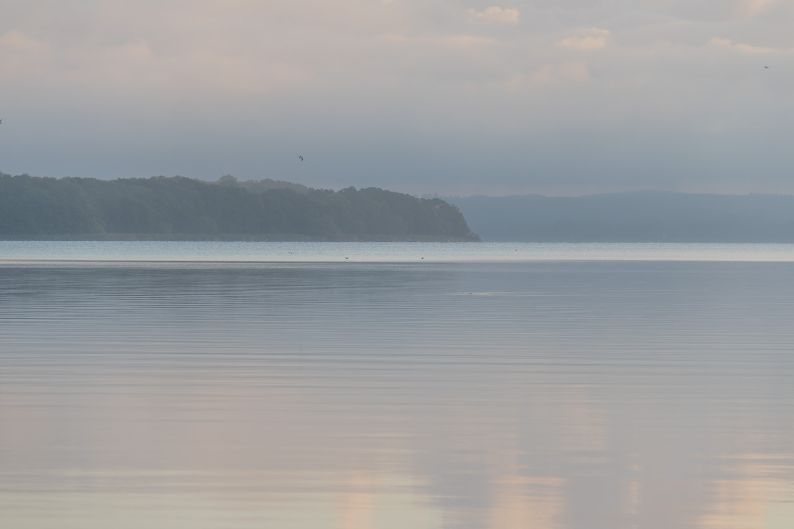 slunečnímu záření, moře, záliv, jezero, voda, pobřeží, odraz, nebe, pláž, ráno, mlha, pobřeží, horizont, soumrak, Klid, klid, mrak, svítání, oceán, vlna, h r, sj, soluppg ng, gryning, exif modelu canoneos760d, geocountry, Kamera aby kánon, geocity, Model fotoaparátu canoneos760d, geostate, geolocation, EXIF čočka efs18200mmf3556is, EXIF otvor 56, exif aby kánon, EXIF isospeed 125, exif focallength 130mm, ringsj n, straringsj n, nádrž, jezero, atmosférický jev, tělo z vody, mořská vlna
