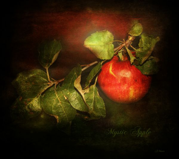 nature,Earth,painting,Photoshop,artwork,fruit
