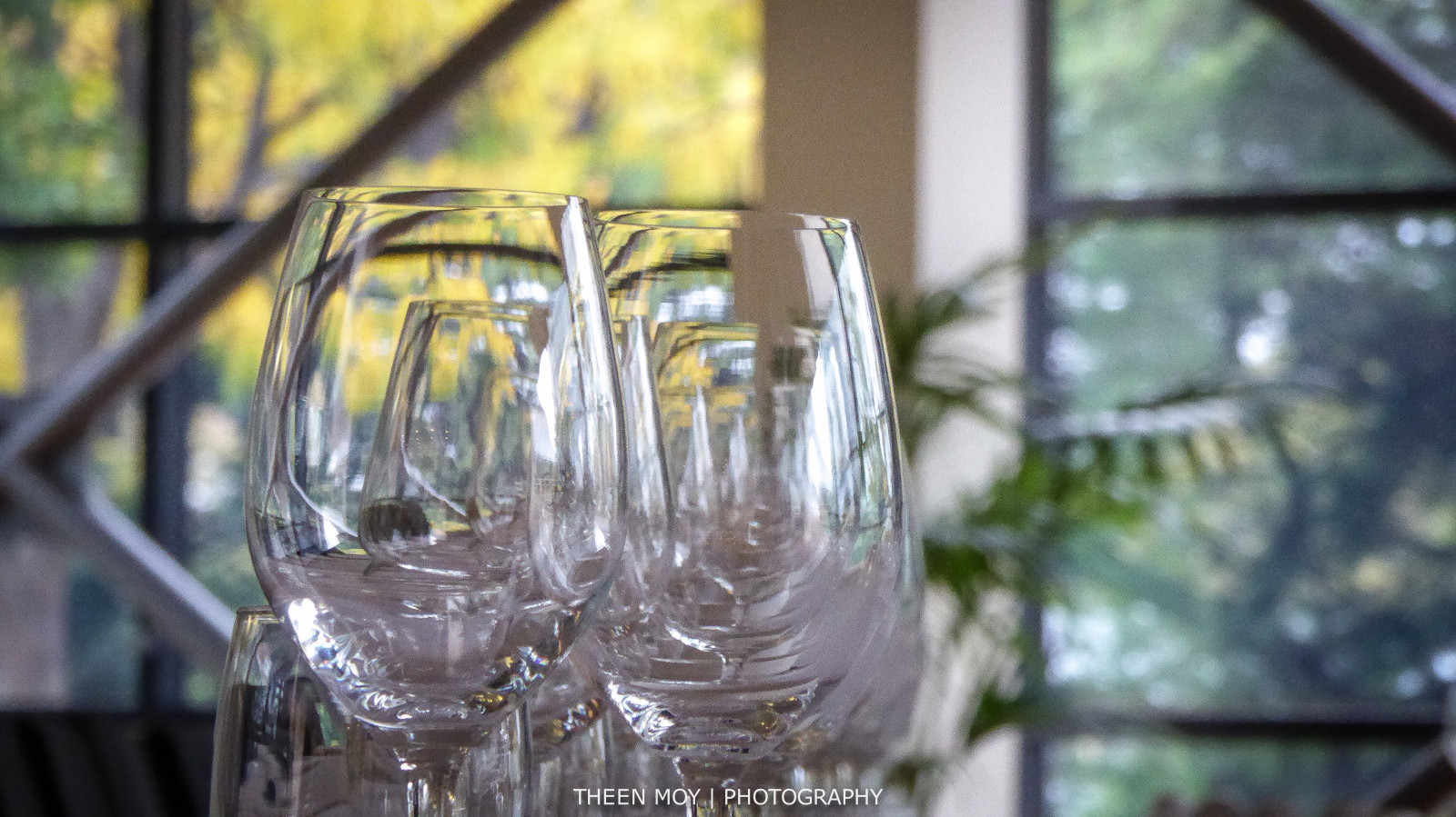 หน้าต่าง, น้ำ, ตาราง, สีเขียว, สีเหลือง, สีน้ำเงิน, ดื่ม, กระจก, โลหะ, มันวาว, ว่างเปล่า, แอดิเลด, ยาว, ต้นไม้, ปลูก, lumix, พร้อม, วาง, ขวดแก้ว, เครื่องดื่ม, แก้วไวน์, stemware, theen, โถบด, บนโต๊ะอาหาร, มุม, nationalwinecentre, พลับพลา, แก้วไวน์, ห้องฟังก์ชั่น