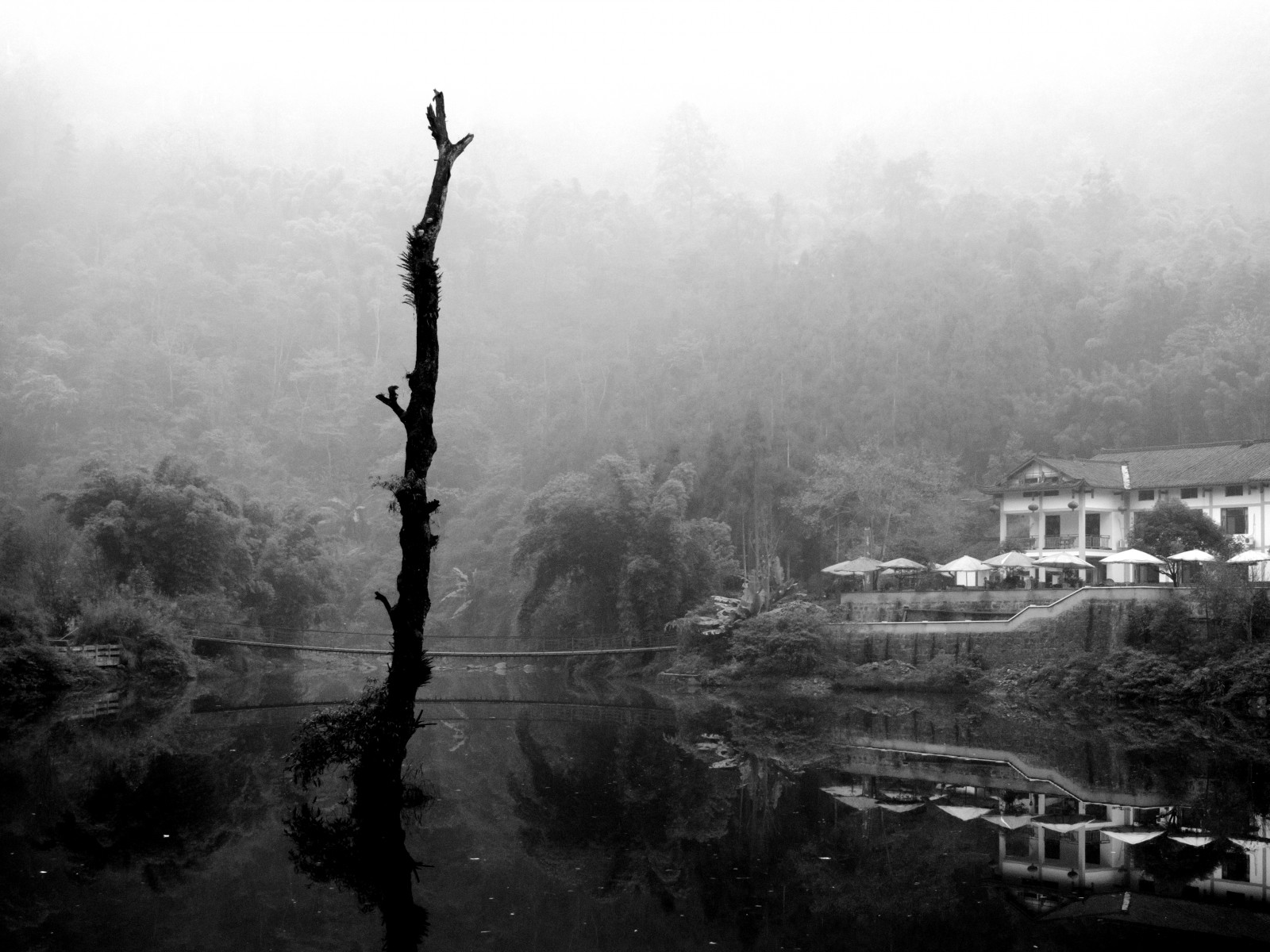 krajina, Černá, černobílý, odraz, sníh, fotografování, ráno, mlha, atmosféra, opar, mrak, strom, scenérie, mlha, počasí, svítání, tělesné, waterscape, tma, atmosférický jev, Atmosféra Země, Černý a bílý, monochromatické fotografování, dřevina