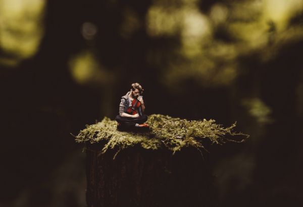violin,2048x1406 px,bokeh,guys,macro,photo manipulation