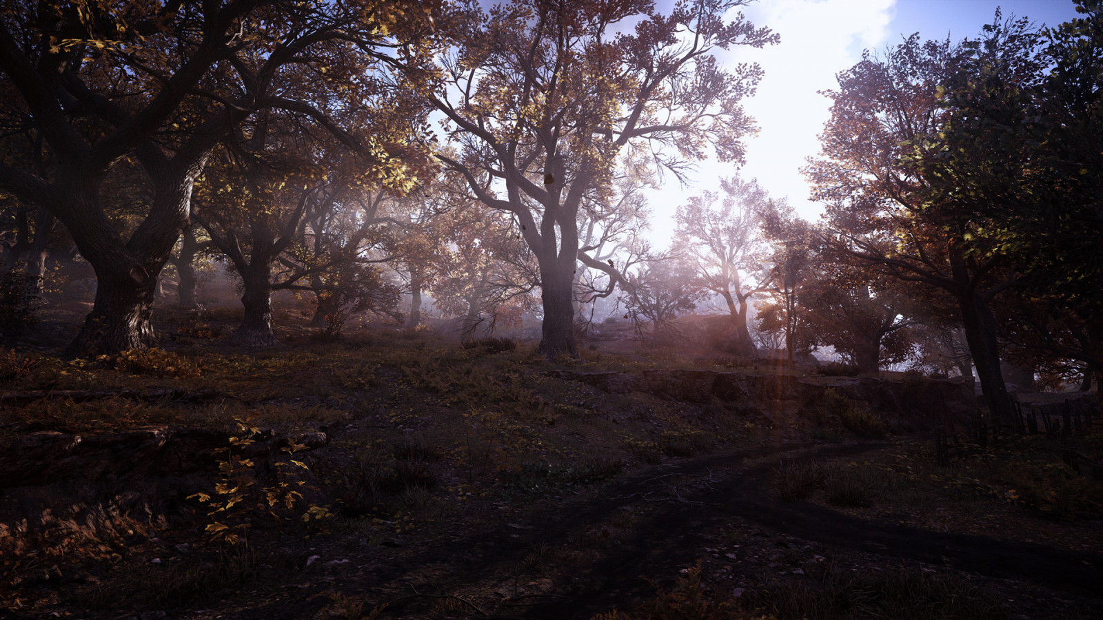 Wallpaper Assassin's Creed Valhalla, reshade, nature, fall, screen