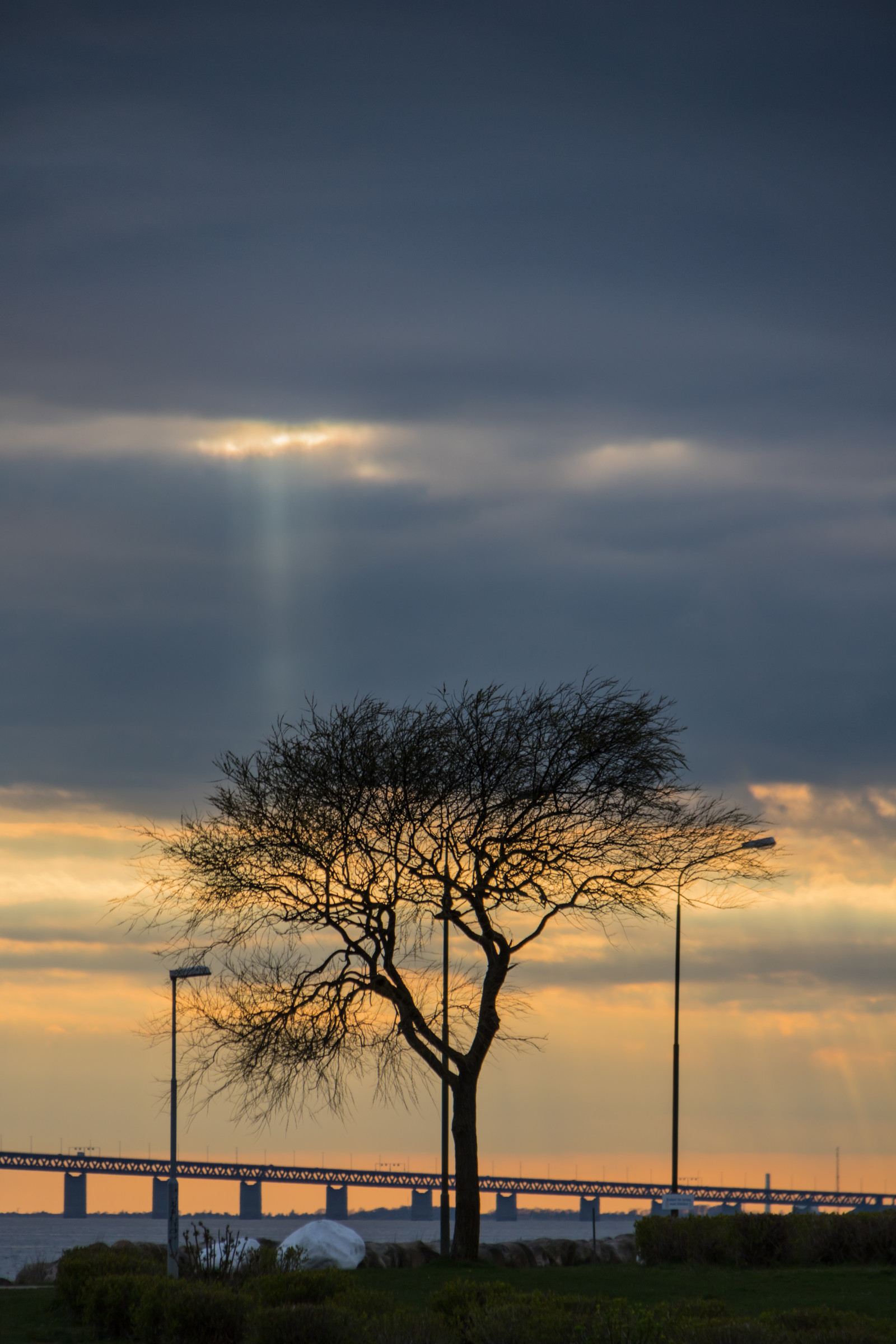 slunečnímu záření, západ slunce, moře, voda, Příroda, nebe, pole, svítání, večer, ráno, most, horizont, soumrak, Bro, mrak, strom, svítání, rostlina, solnedg ng, vatten, tr d, hav, Malmo, Limhamn, limhamnssm b tshamn, prostý, odlesk, dřevina, savana