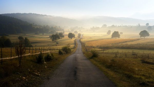 nature,trees,road,landscape,Bosnia,morning