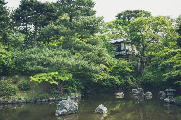 lake,pond,Japan,building
