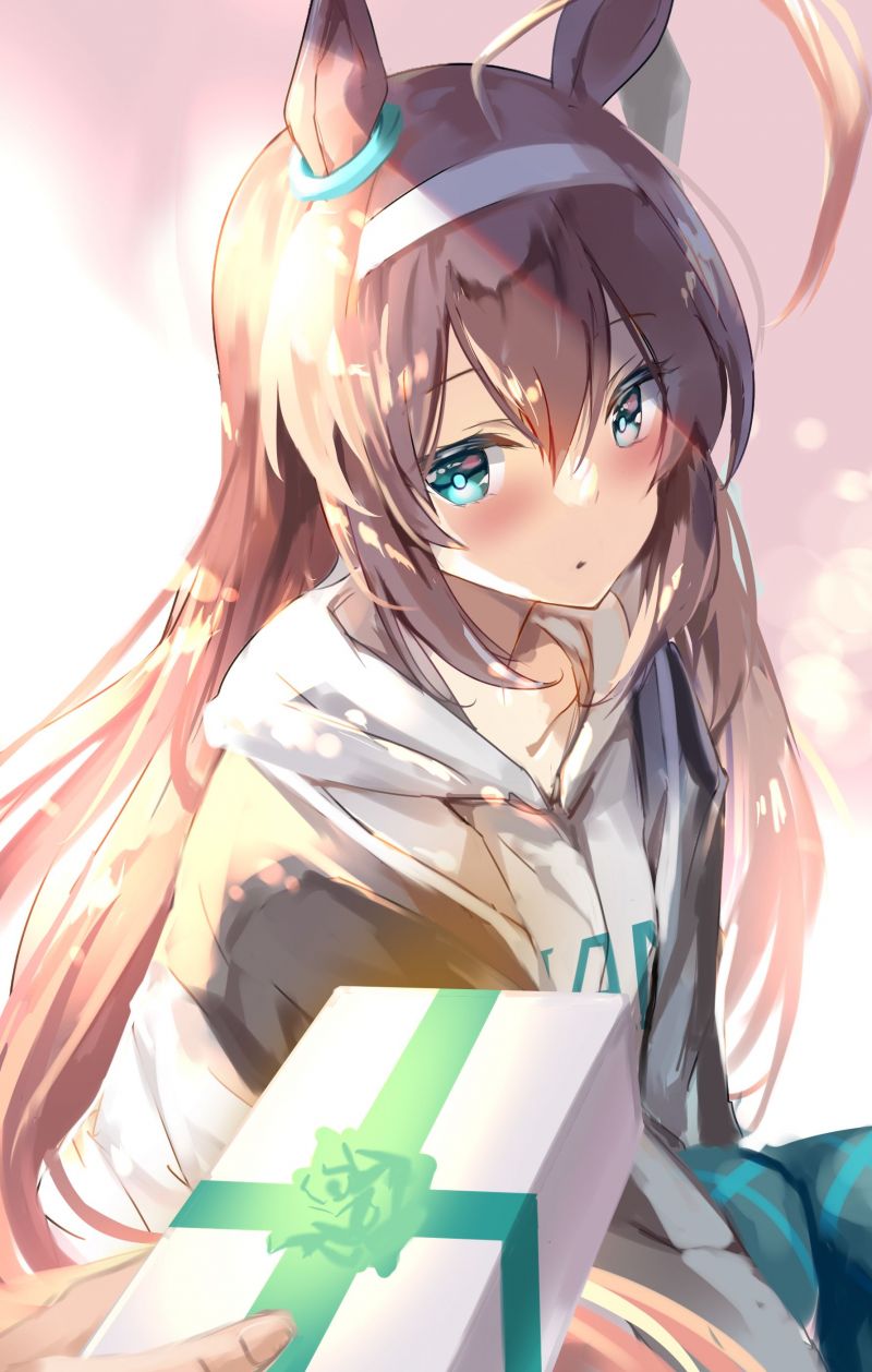 アニメ,アニメの女の子,Uma Musume Pretty Derby,horse girls,動物の耳,Mihono Bourbon Uma Musume