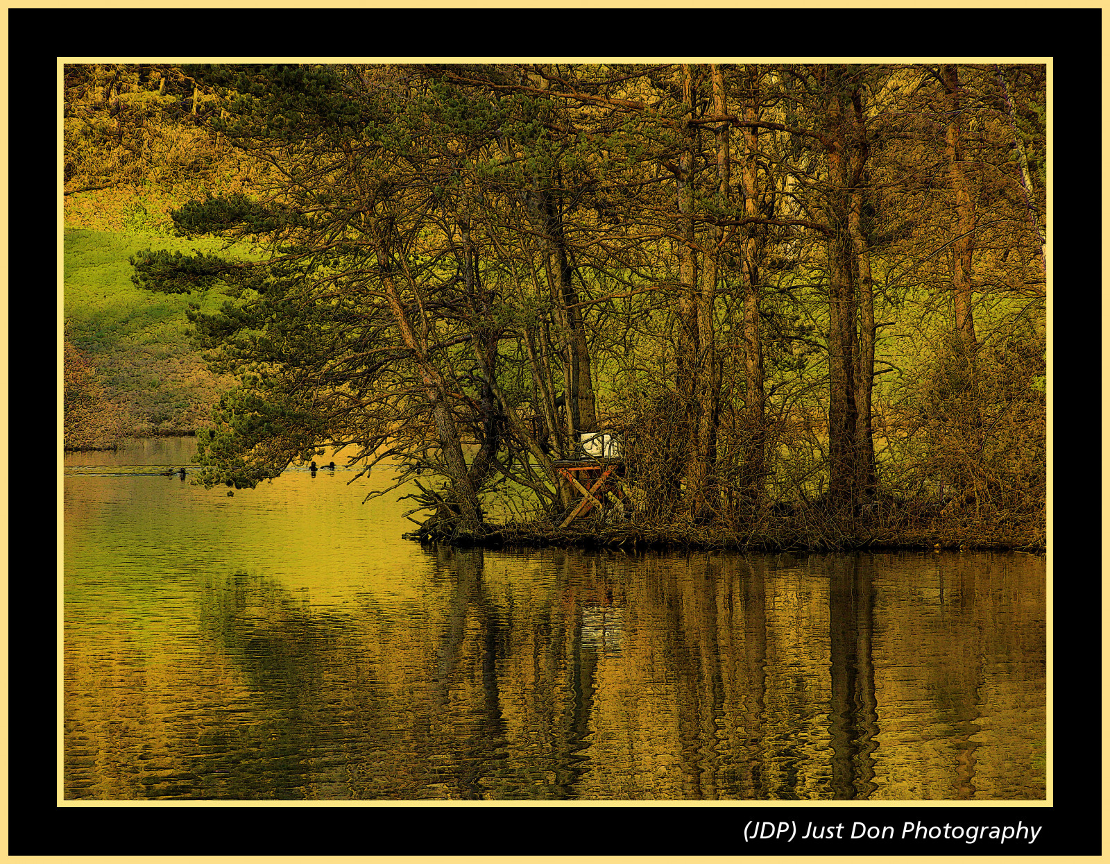 ต้นไม้, แนวนอน, ป่า, ทะเลสาบ, น้ำ, ธรรมชาติ, การสะท้อน, หญ้า, ไม้, สาขา, เก้าอี้, แม่น้ำ, สัตว์ป่า, บ่อน้ำ, ธนาคาร, ปลัก, ธรรมชาติสำรอง, เพนซิลเวเนีย, Olympus, พื้นที่ชุ่มน้ำ, ต้นไม้, ฤดูใบไม้ร่วง, ใบไม้, ปลูก, การสะท้อน, พืชพันธุ์, anawesomeshot, naturesfinest, abigfave, ทะเลสาบ, ความประทับใจ, superbmasterpiece, blueribbonwinner, ก, ป่าไม้, ระบบนิเวศ, Biome, ป่าเจริญเติบโตเก่า, ป่ากว้างและป่าผสมผสาน, ผลัดใบ, บึง, ป่าโกงกาง, รัฐปาร์ค, sp510uz, searchandreward