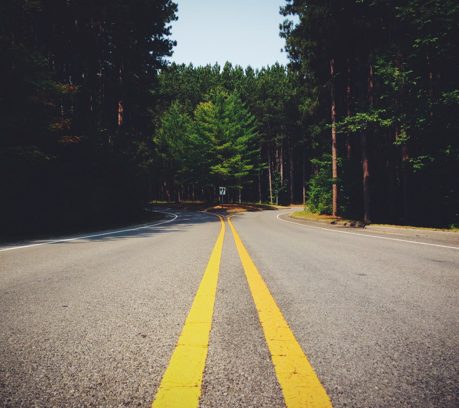 sollys, træer, nat, græs, vej, aften, morgen, hovedvej, asfalt, infrastruktur, lys, træ, efterår, blad, bane, atmosfærisk fænomen, vedplante, vejbelægning