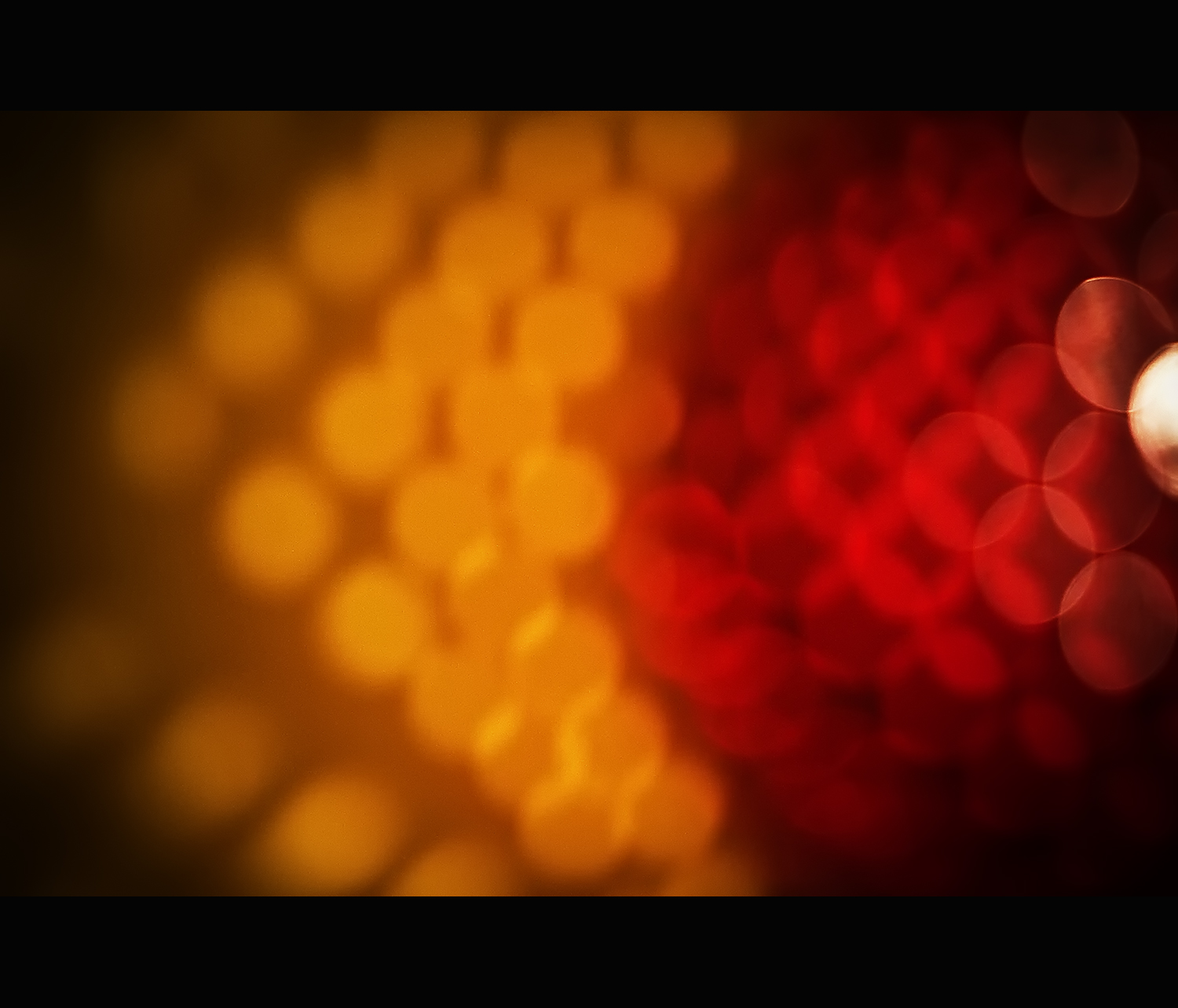 Wallpaper red, yellow, orange, macro photography, atmosphere, light