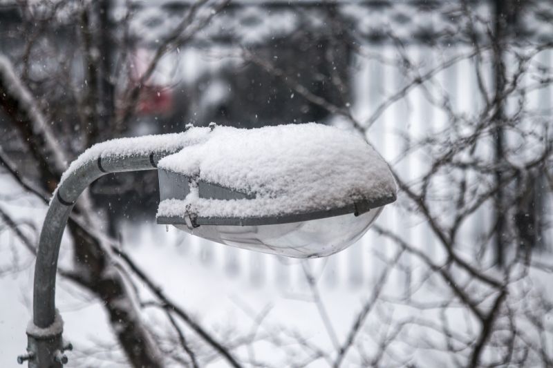 sníh, zmrazení, zima, větev, strom, mráz sníh, zmrazení, zima, větev, strom, mráz