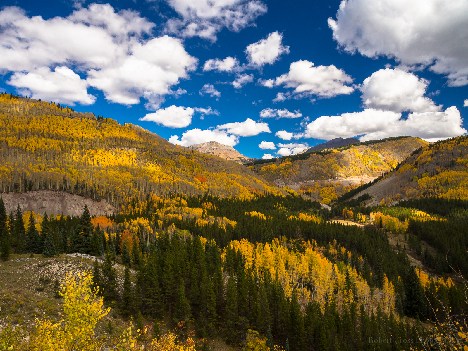 stromy, krajina, les, podzim, listy, hory, kopec, Příroda, tráva, nebe, zima, mraky, národní park, údolí, horský průsmyk, divočina, Colorado, mount scenérie, tundra, plošina, jehličnatý strom, Olympus, hřbet, mrak, strom, podzim, list, sanjuanmountains, hora, lučina, modrá obloha, louka, OMD, EM5, skalnaté hory, vysočina, dřevina, horských reliéf, ekosystém, mírné jehličnatý les, biome, pohoří, smíšený les, meteorologický jev, klesl, modřín, křoviny, borovice rodina, rockpaperexcellence, 1250mmf3563mzuiko, osiky, sráz, spruce fir forest, continental divide