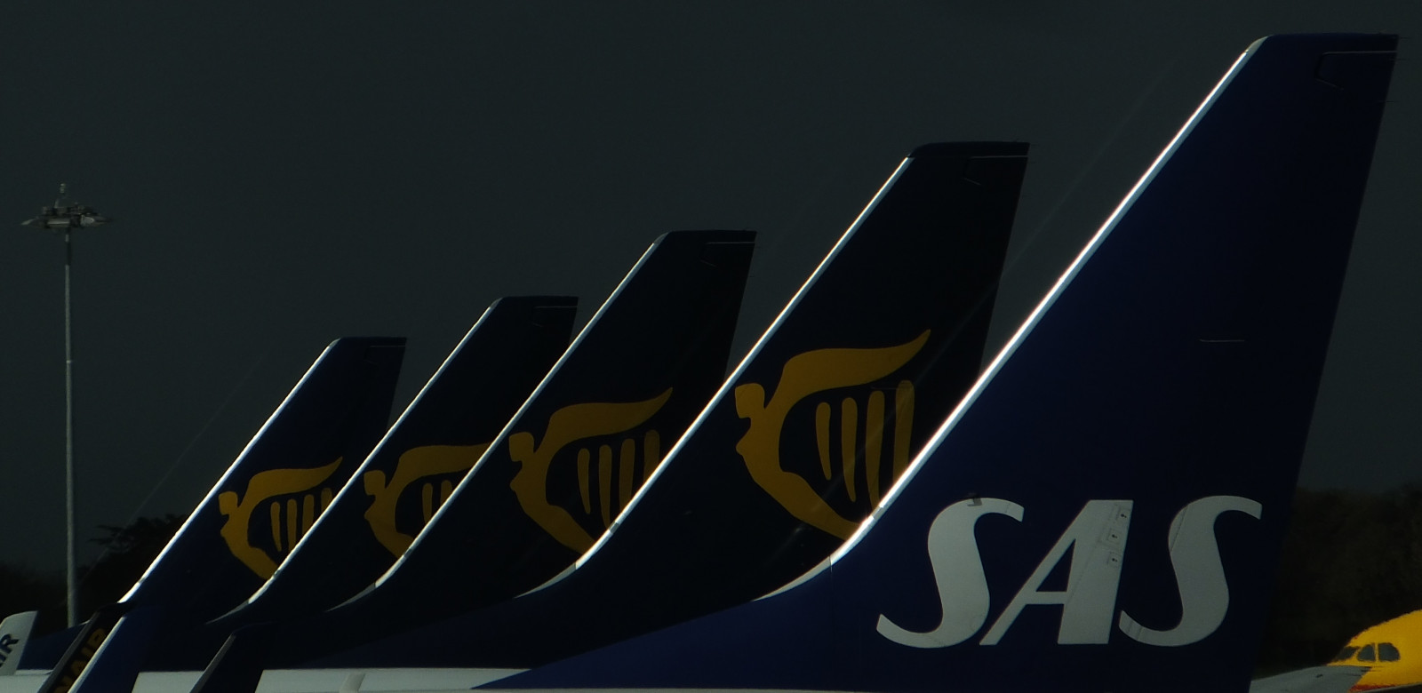 noc, ocas, nebe, letadlo, logo, Boeing, Irsko, Dublin, letiště, značka, 737, světlo, tma, zadní světlo, grafika, počítač tapeta, font, B737, vklouznout do vody, dabovat, boeing737, Letiště Dublin, tailfin