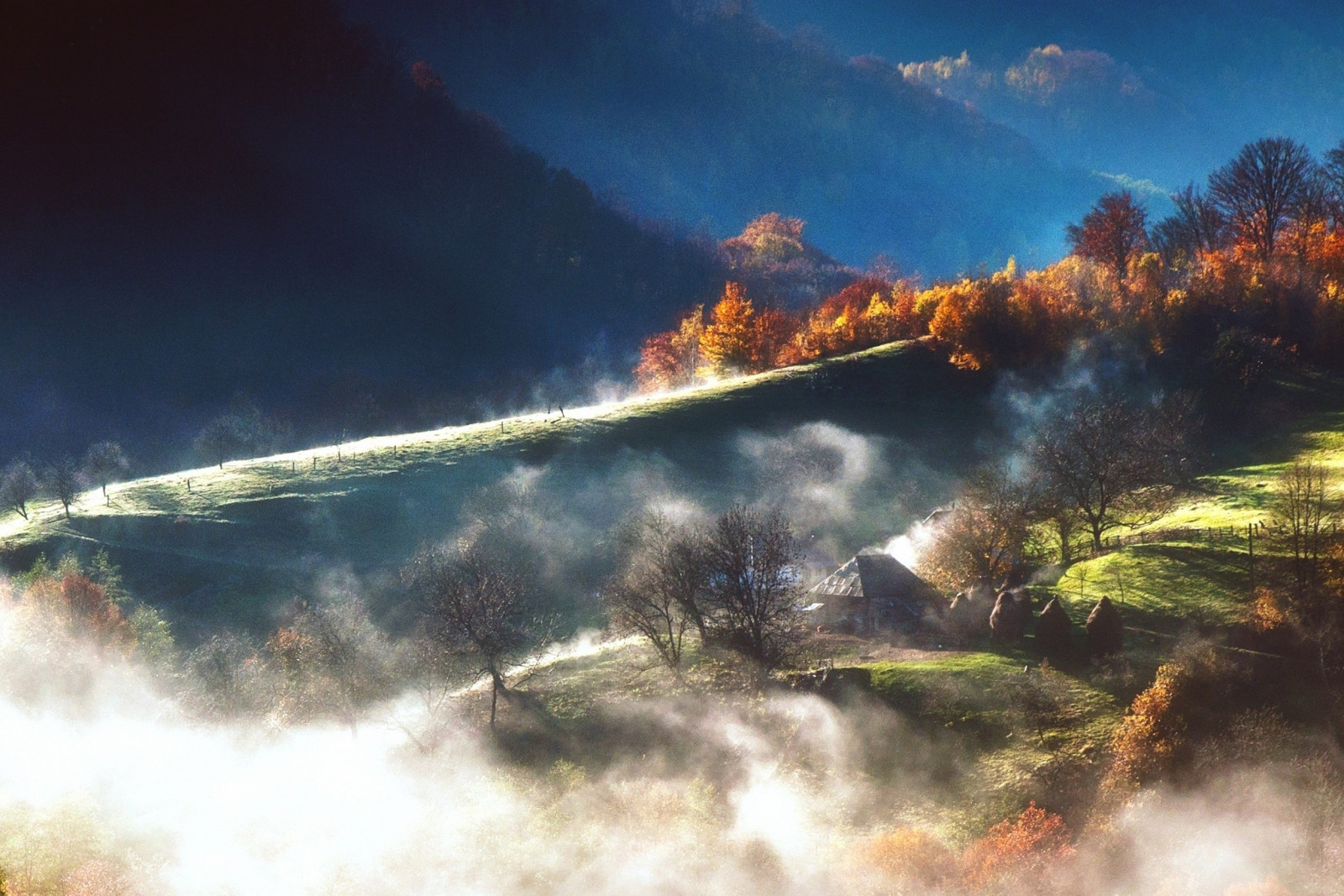 luce del sole, alberi, paesaggio, foresta, autunno, montagne, natura, riflessione, cielo, Alba, mattina, nebbia, fuoco, capanna, wildfire, nube, montagna, alba, onda, fenomeno atmosferico, atmosfera della terra, 2500x1668 px