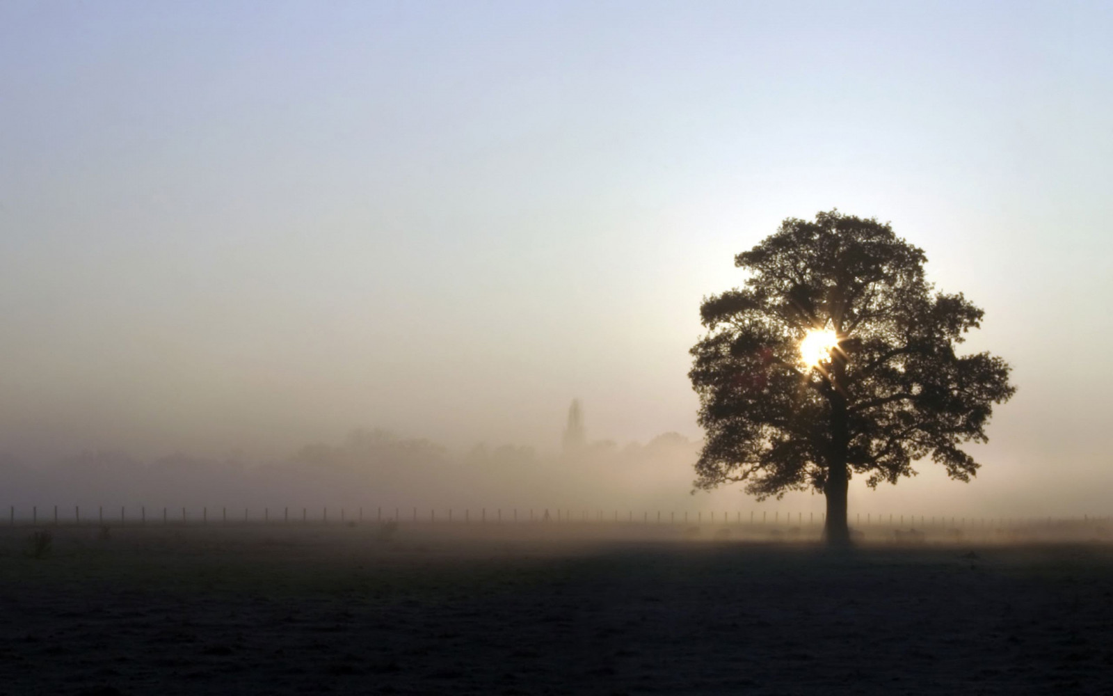 slunečnímu záření, stromy, krajina, západ slunce, moře, kopec, Příroda, odraz, nebe, svítání, večer, ráno, mlha, slunce, horizont, atmosféra, soumrak, opar, mrak, strom, mlha, počasí, svítání, 2560x1600 px, atmosférický jev, dřevina
