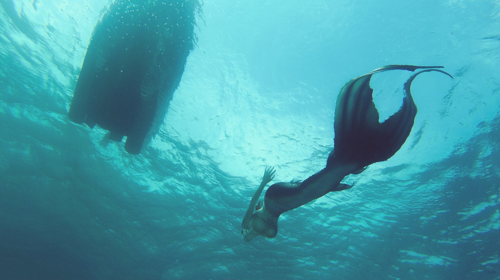 barco, Fantasia arte, mar, embaixo da agua, Sereias, biologia, oceano, mergulho livre, biologia Marinha, mamífero marinho