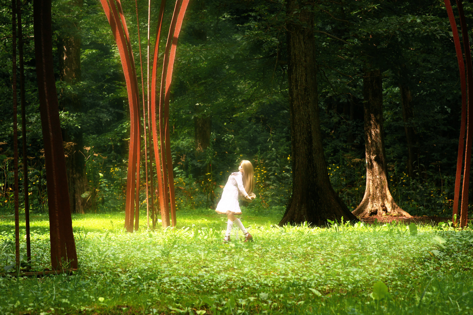 sollys, landskab, Skov, have, natur, græs, parkere, Mark, afdeling, grøn, Legetøj, jungle, forår, dukke, monument, træ, blad, plante, pige, fritid, hokkaido, sjovt, eng, Volks, dollfiedream, græsplæne, skov, lund, vedplante, tempererede nåleskove, biom, græs familie, gamle vækst skov, resterne, toheart2, endofsummer, kneehighsocks, livslede, Lange nederdele, purpleeyes, manakakomaki, iinchou, Honeyblond, nuanceonelength