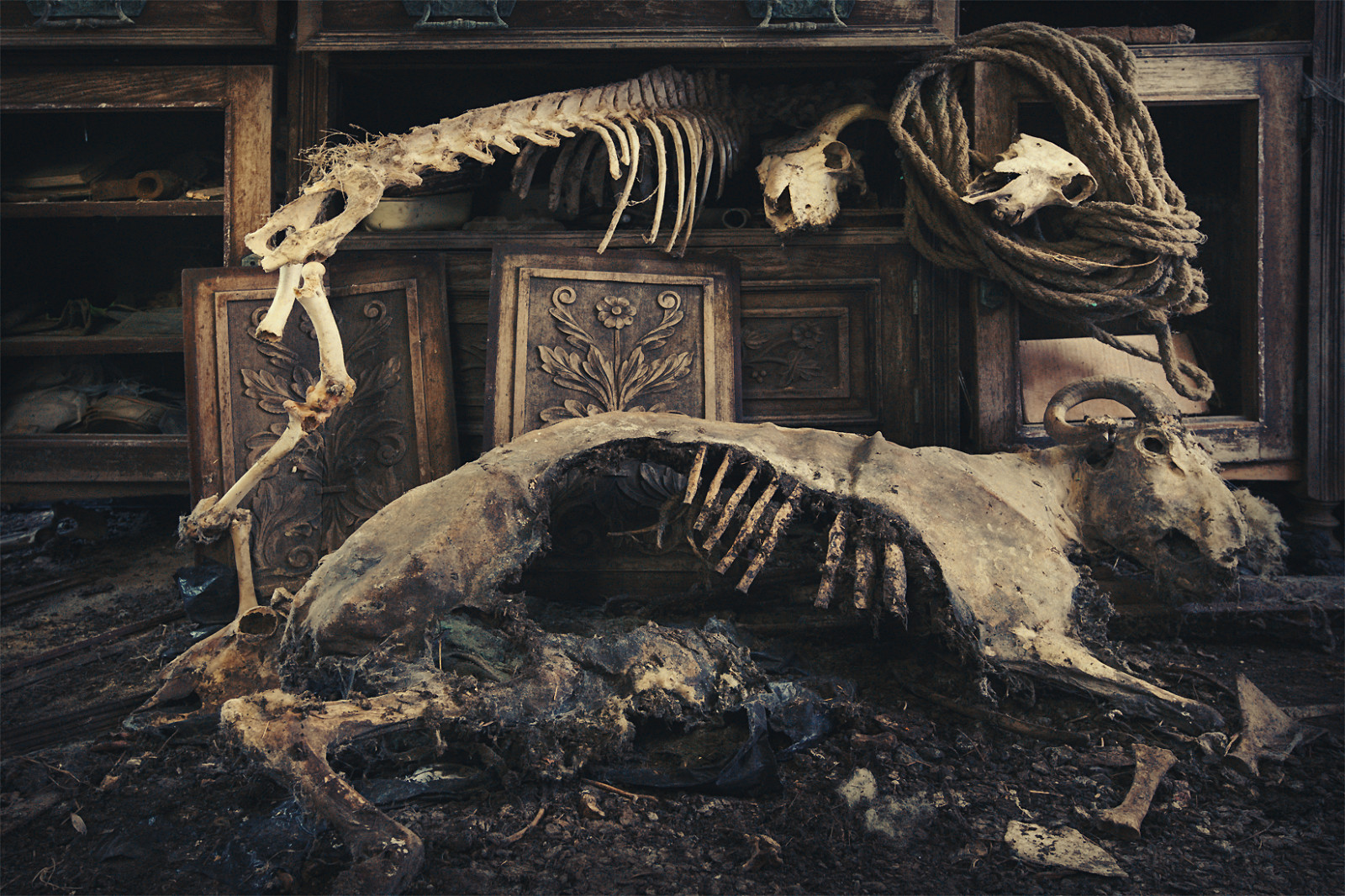 gammel, KUNST, historie, forladt, smuk, skønhed, fotografering, fotograf, Rebecca, Urban Decay, opdagelsesrejsende, fin kunst, glemt, archetecture, forladte, HDR, henfaldet, urbanexploring, ue, fineartphotography, Urbex, Bathory, urbexdecay, fineartphotographer, canon5diii, wanderlast, decayfineart, wwwrebeccabathorycom