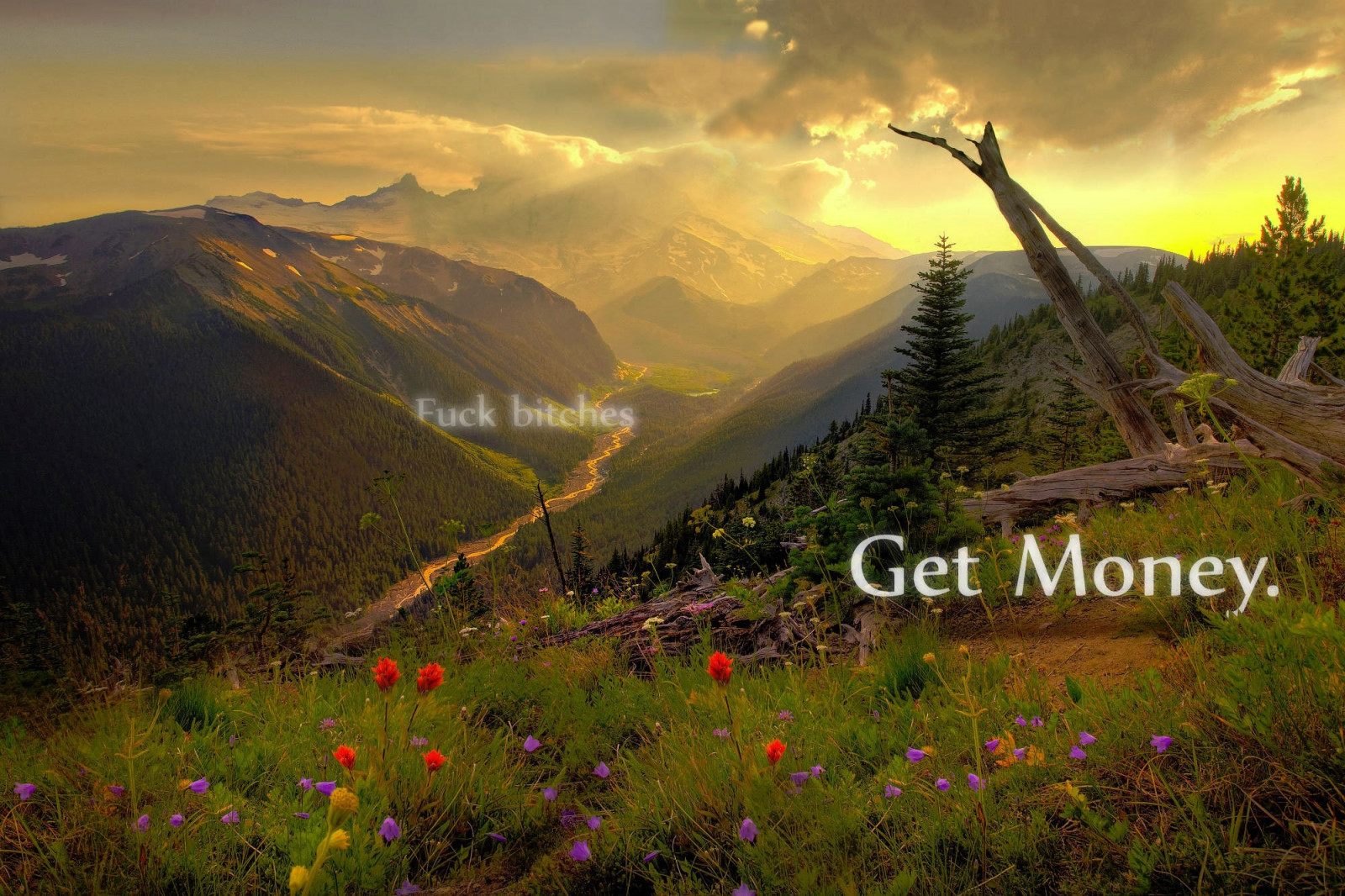 slunečnímu záření, krajina, les, citát, kopec, Příroda, tráva, nebe, svítání, večer, ráno, atmosféra, národní park, údolí, divočina, peníze, Wallpapers, mount scenérie, tundra, mrak, strom, hora, svítání, vegetace, louka, divoká rostlina, 2000x1333 px, vysočina, počítač tapeta, horských reliéf, pohoří, stanice hill, křoviny