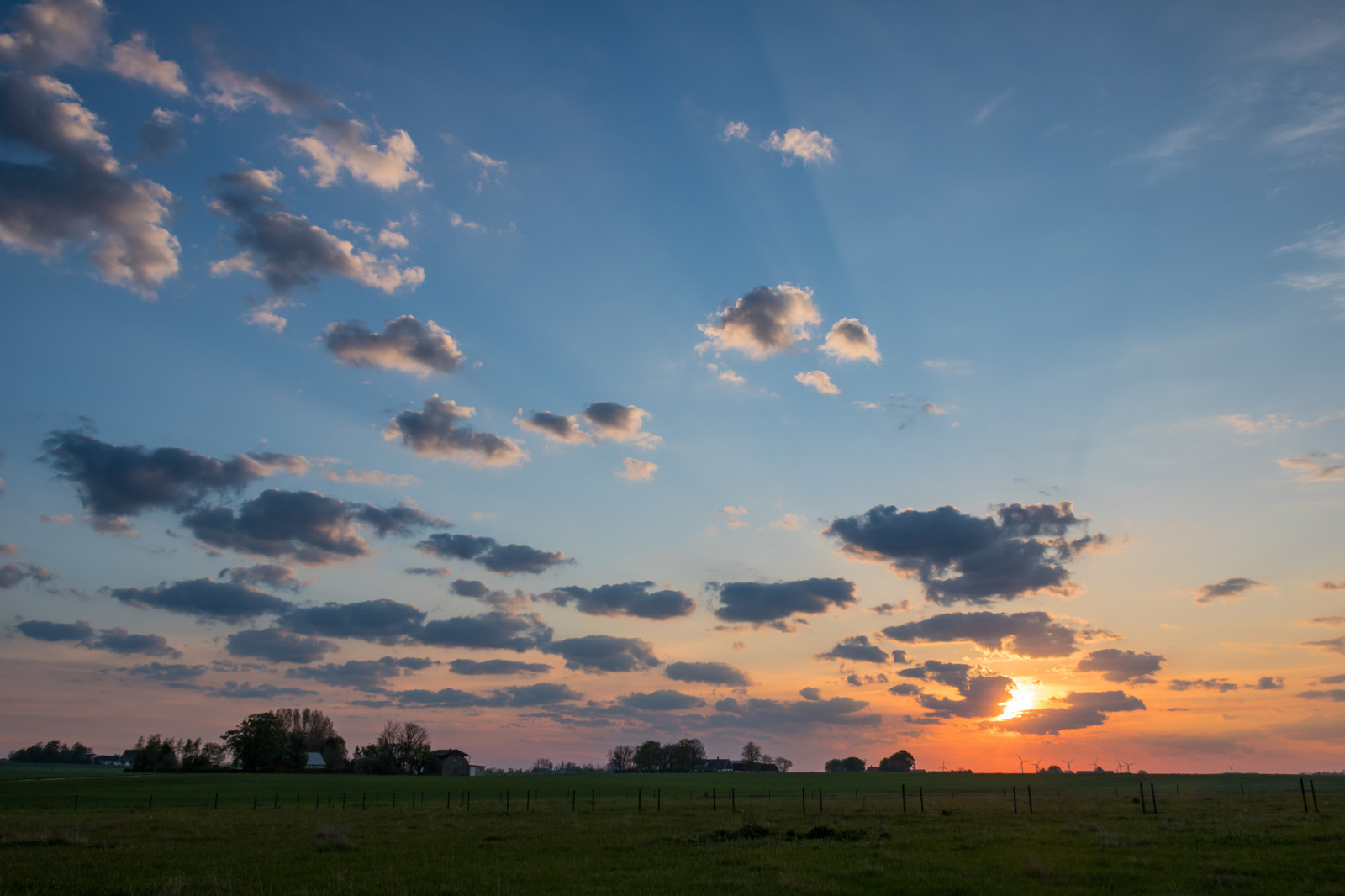 แสงแดด, แนวนอน, พระอาทิตย์ตก, ธรรมชาติ, ท้องฟ้า, ฟิลด์, พระอาทิตย์ขึ้น, ตอนเย็น, เช้า, ดวงอาทิตย์, ขอบฟ้า, บรรยากาศ, พลบค่ำ, เมฆ, รุ่งอรุณ, ทุ่งหญ้า, himmel, ชนบท, landsbygd, soluppg ng, s dersl tt, landskap, norra โดย, gryning, ทุ่งหญ้า, ที่ราบ, ทุ่งหญ้า, สายัณห์, ปรากฏการณ์ทางอุตุนิยมวิทยา, Cumulus