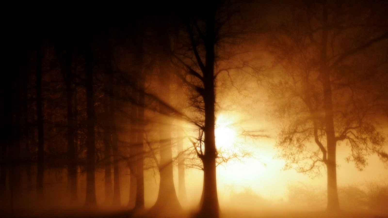 wallpaper : sunlight, snow, texture, explosion, dust,... Wallpaper : sunlight, trees, forest, reflection, sunrise, morning, mist ...
