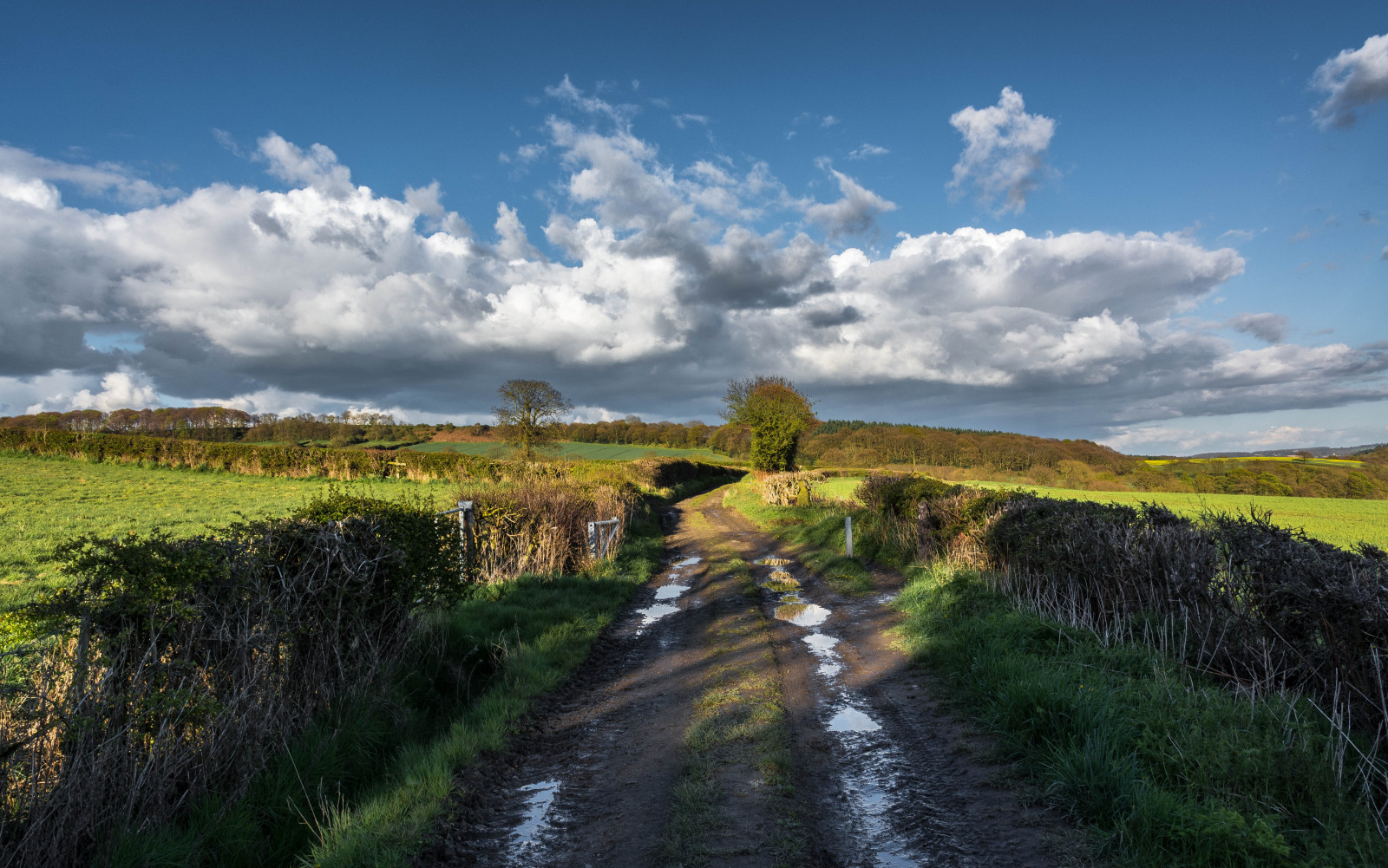 Sonnenlicht, Landschaft, alt, Hügel, Natur, Gras, Himmel, Park, Feld, Straße, Wolken, Moos, Grün, Gelb, Kamera, blau, Dorf, Abend, Bauernhof, Orange, Schotterstraße, Horizont, Tal, Nikon, Zaun, Linse, Frühling, hell, Vereinigtes Königreich, Ländlichen, April, Grat, Licht, Belichtung, heiter, Wolke, Szene, Baum, National, Nikkor, Schatten, neu, Berg, ziemlich, Wiese, groß, Pflanze, draussen, draußen, Natur, Weide, Felder, Frühling, Digital, Landwirtschaft, Wiese, Ebene, Kreis, Sheffield, Derbyshire, Fahrbahn, Hochland, Prärie, Moor, ländliches Gebiet, Meteorologisches Phänomen, Fußweg, Ecoregion, Ridgeway, Feldweg, Imagesofengland, Stile, Ölsaaten