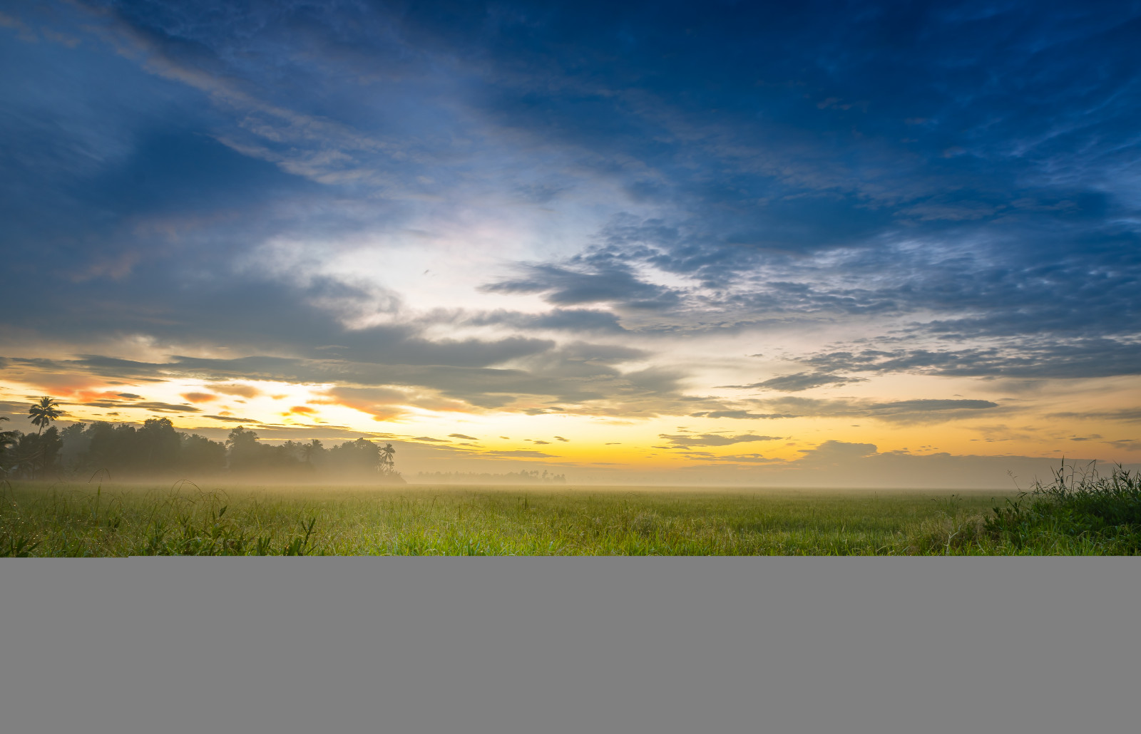 slunečnímu záření, krajina, západ slunce, Příroda, tráva, nebe, pole, mraky, Indie, svítání, zelená, ráno, mlha, horizont, Sony, soumrak, rosa, step, rýže, mrak, Tamron, mlha, barvy, svítání, lučina, zemědělství, louka, prostý, 2470, kerala, prérie, venkov, atmosférický jev, tráva rodina, ilce7m2, paddyfields, Kumarakom, sunriseff